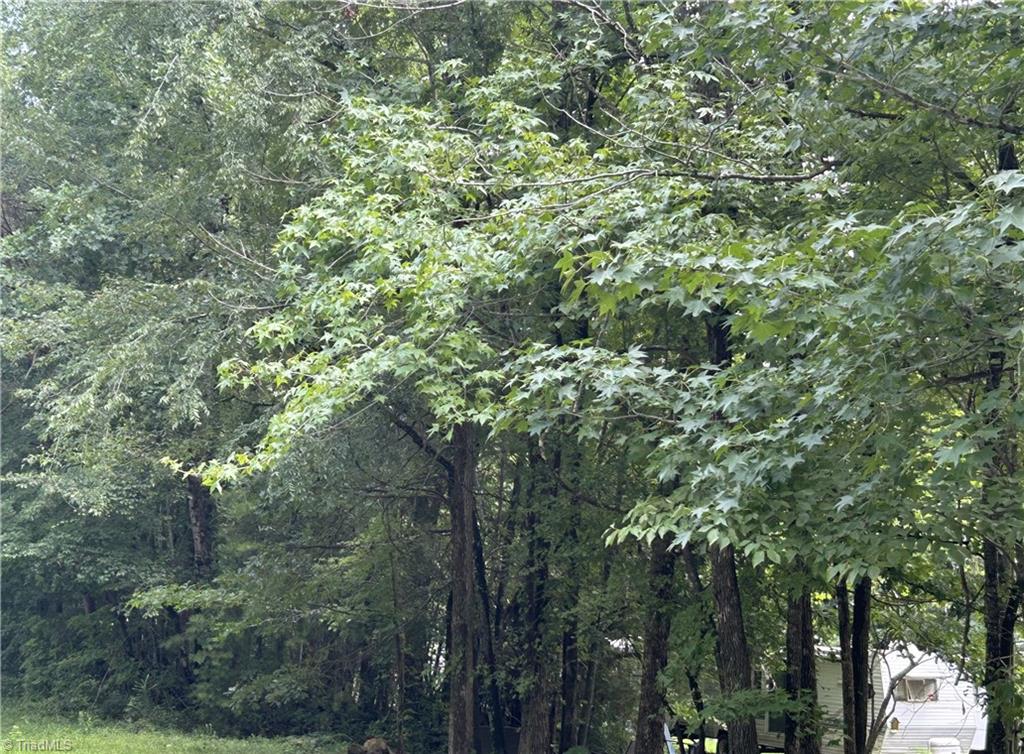 5501 Eulis Road Liberty, NC 27298 - Photo 2 of 4