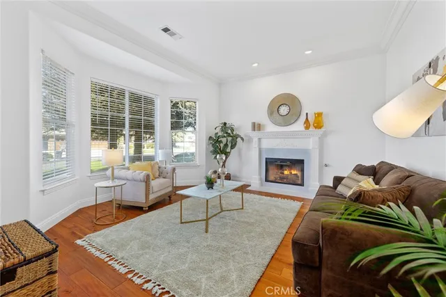 a living room with furniture plant and a window