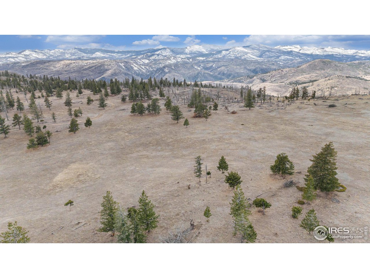 0 Tip Top Road Bellvue, CO 80512 - Photo 11 of 18 a view of a town with mountains in the background