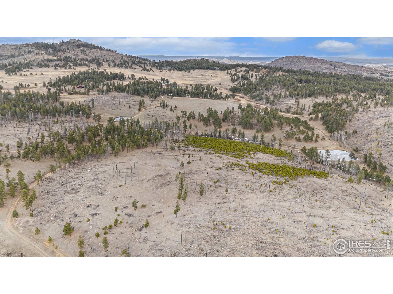 0 Tip Top Road Bellvue, CO 80512 - Photo 2 of 18 a black and white photo of a lake