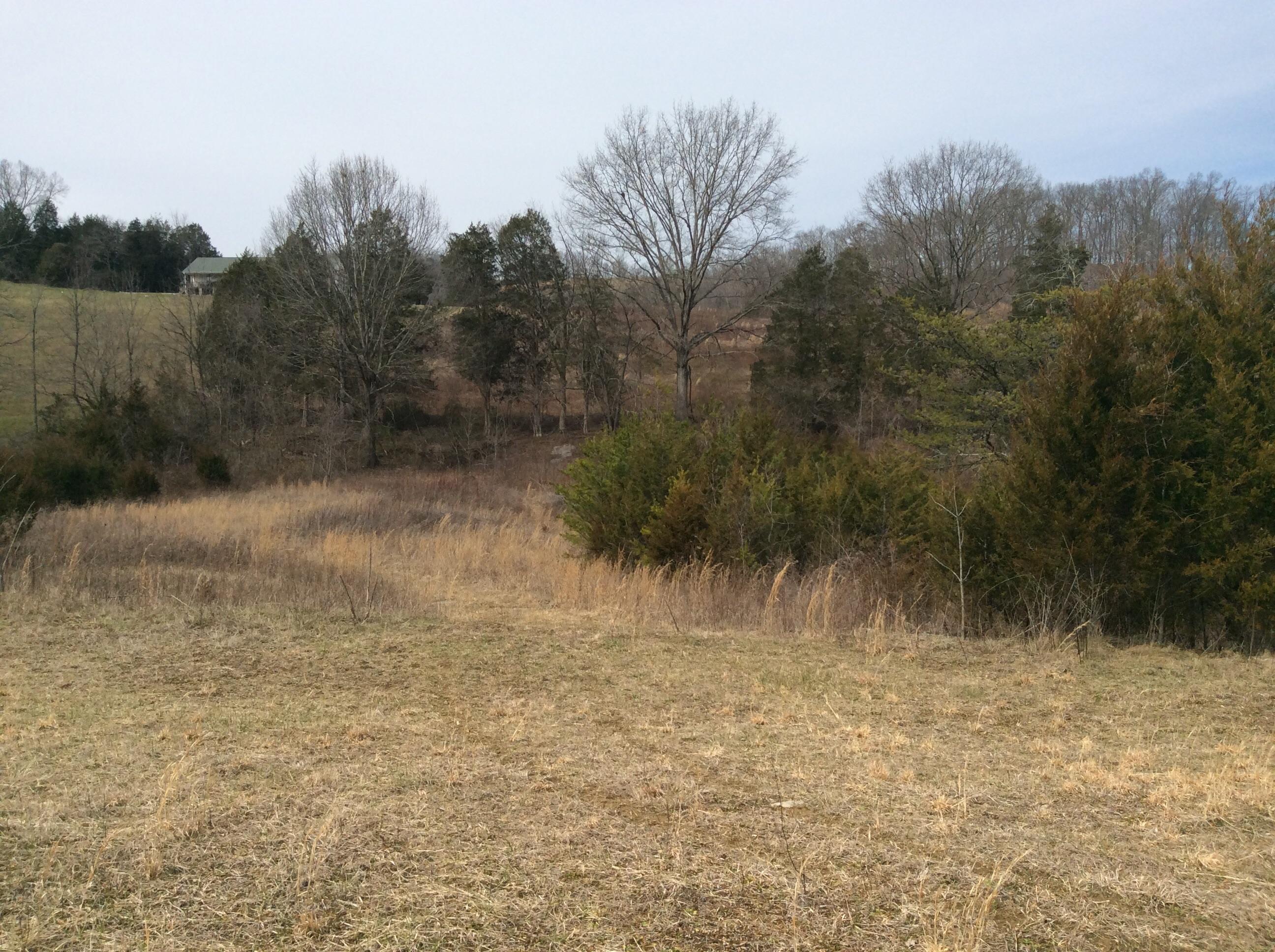 Lot 3 Hickory Valley Road Maynardville, TN 37807 - Photo 2 of 12 image