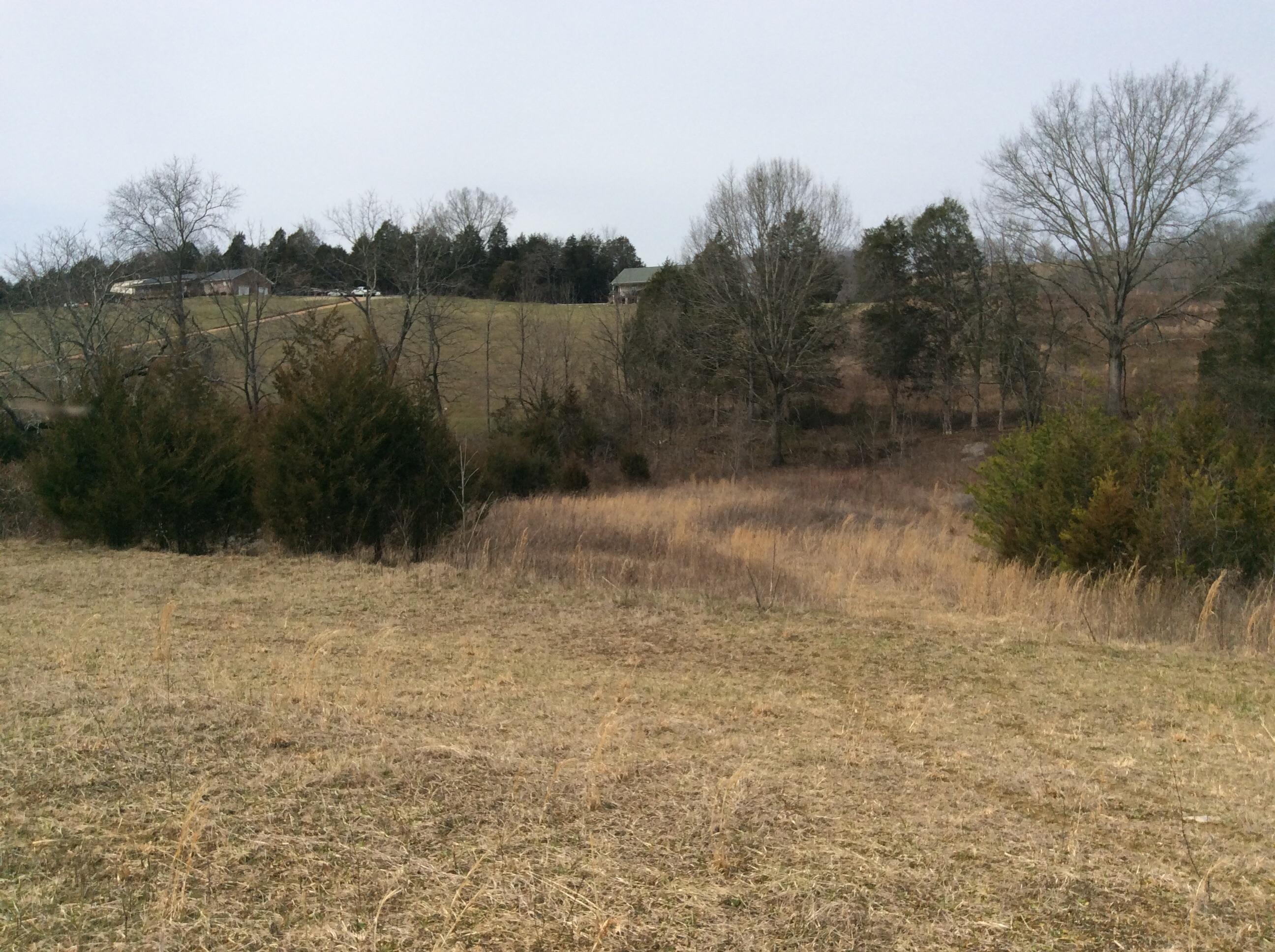 Lot 3 Hickory Valley Road Maynardville, TN 37807 - Photo 11 of 12 image