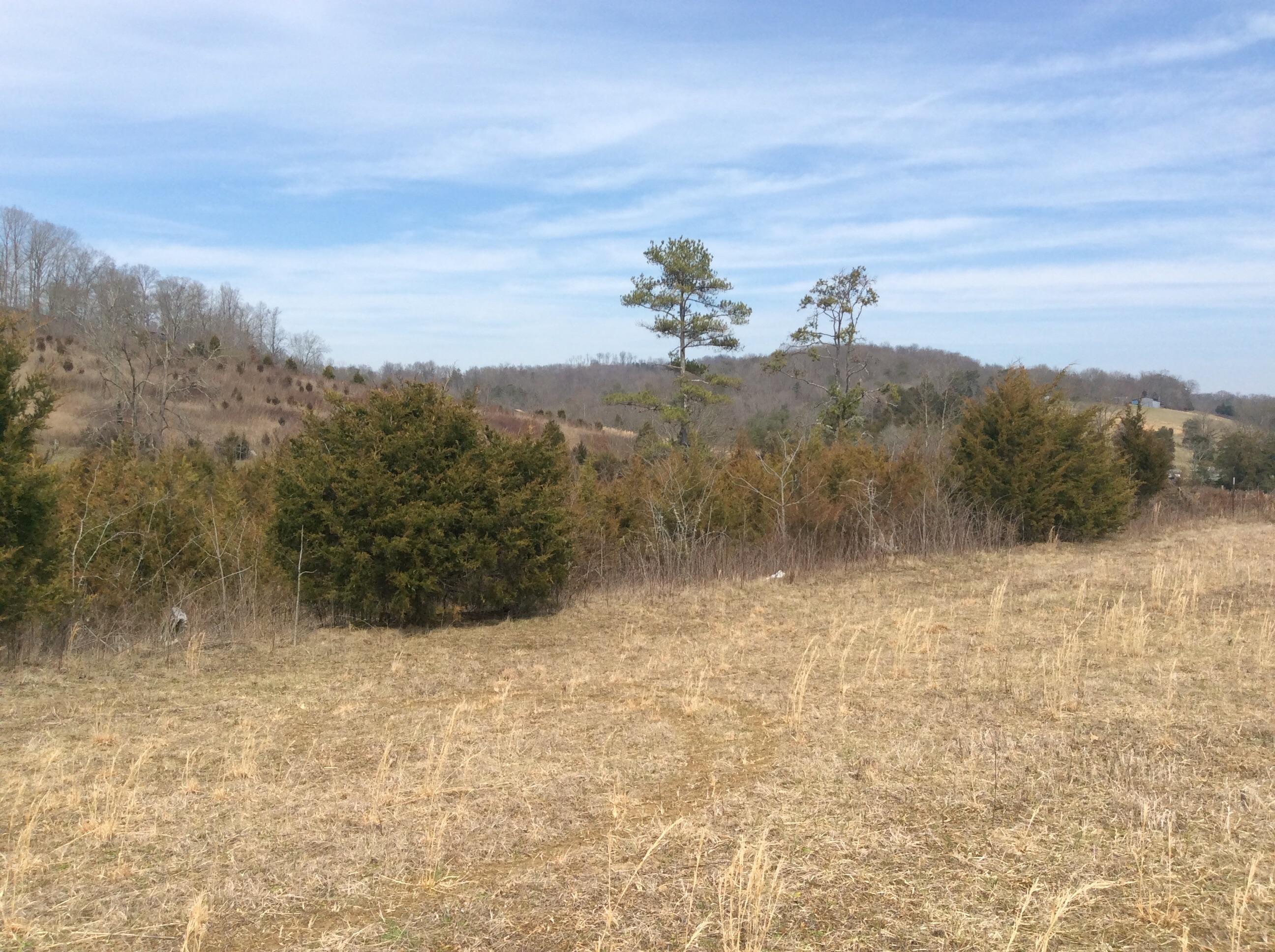 Lot 3 Hickory Valley Road Maynardville, TN 37807 - Photo 3 of 12 image