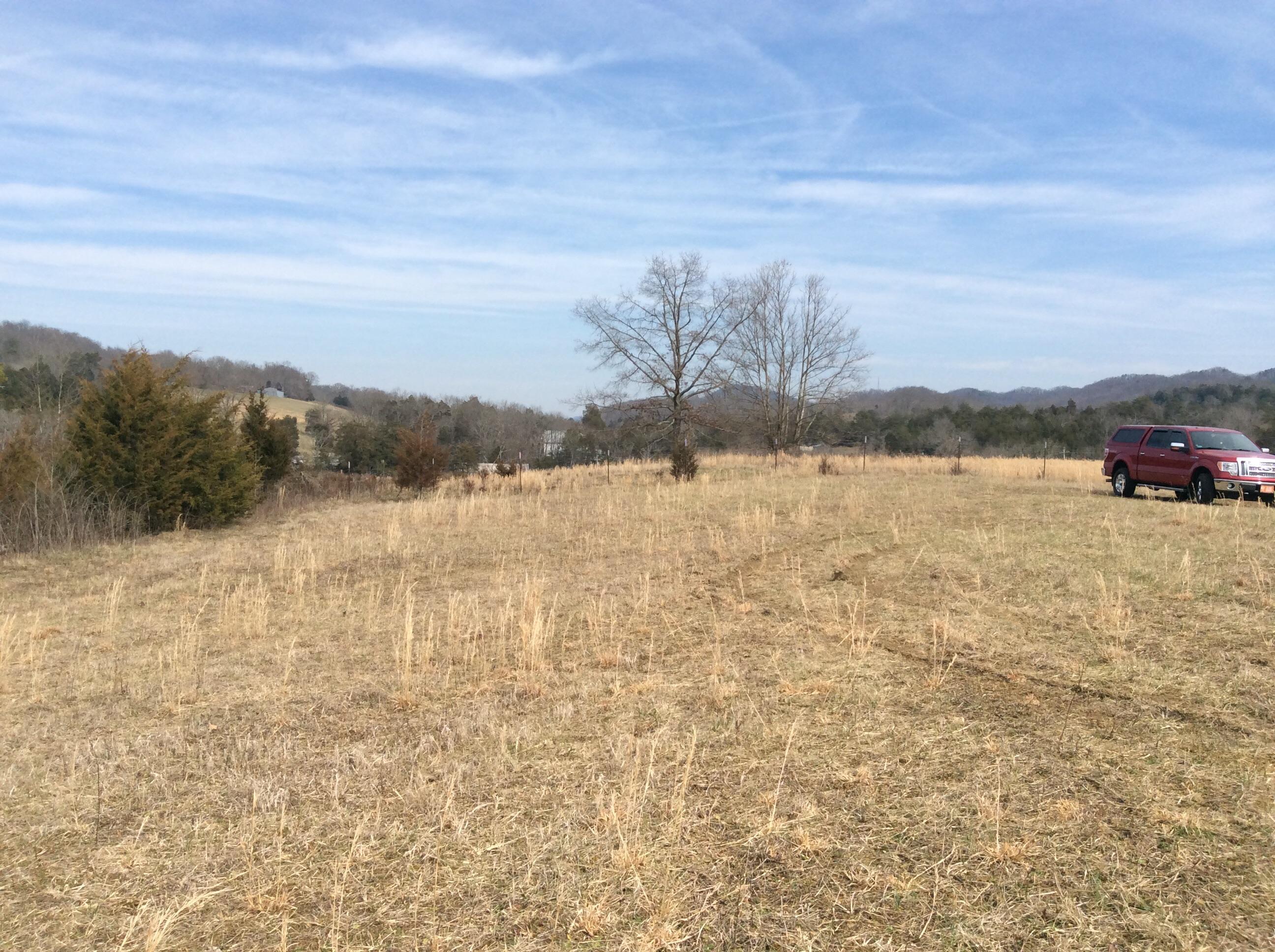 Lot 3 Hickory Valley Road Maynardville, TN 37807 - Photo 4 of 12 image