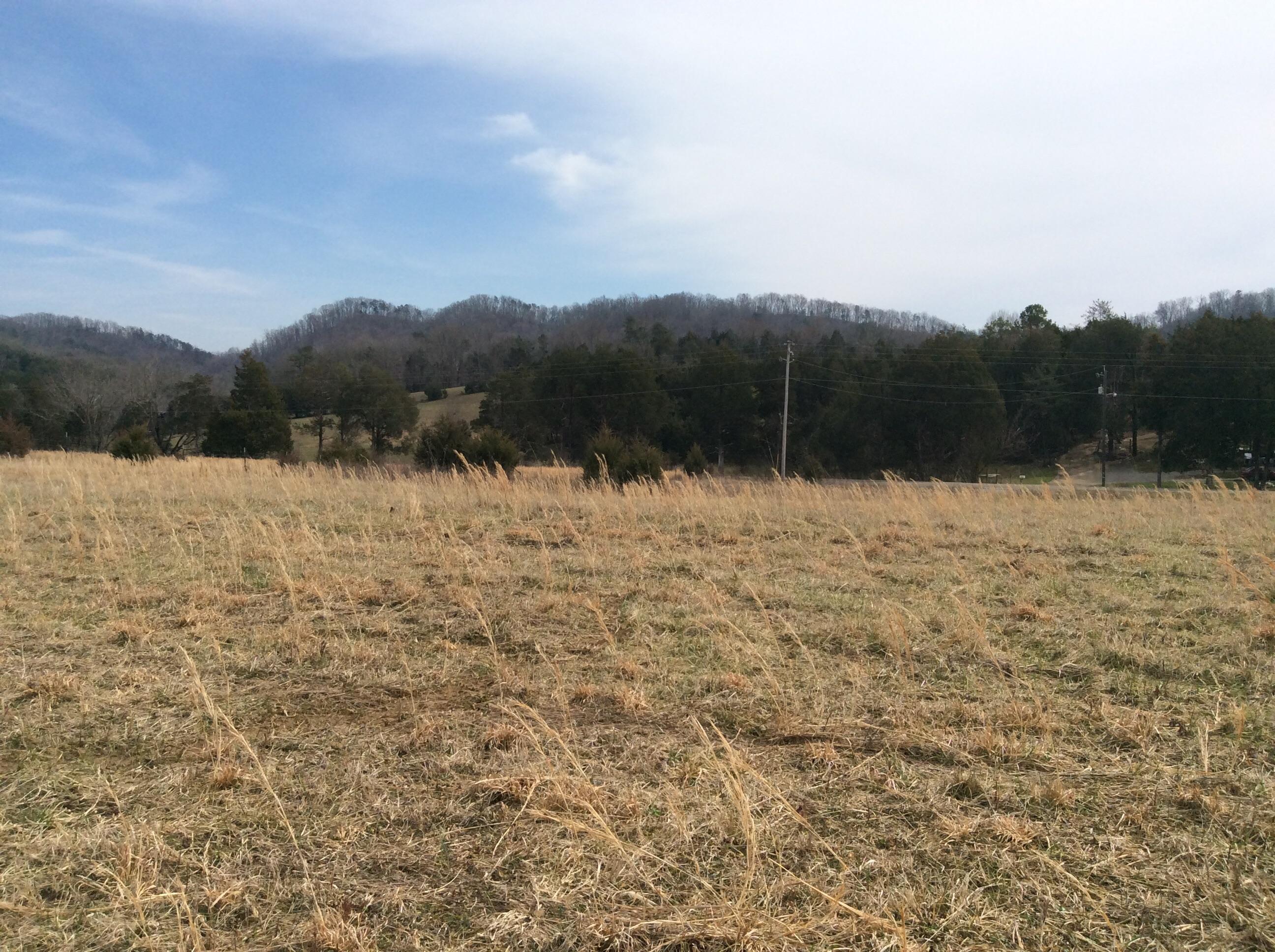 Lot 3 Hickory Valley Road Maynardville, TN 37807 - Photo 5 of 12 image