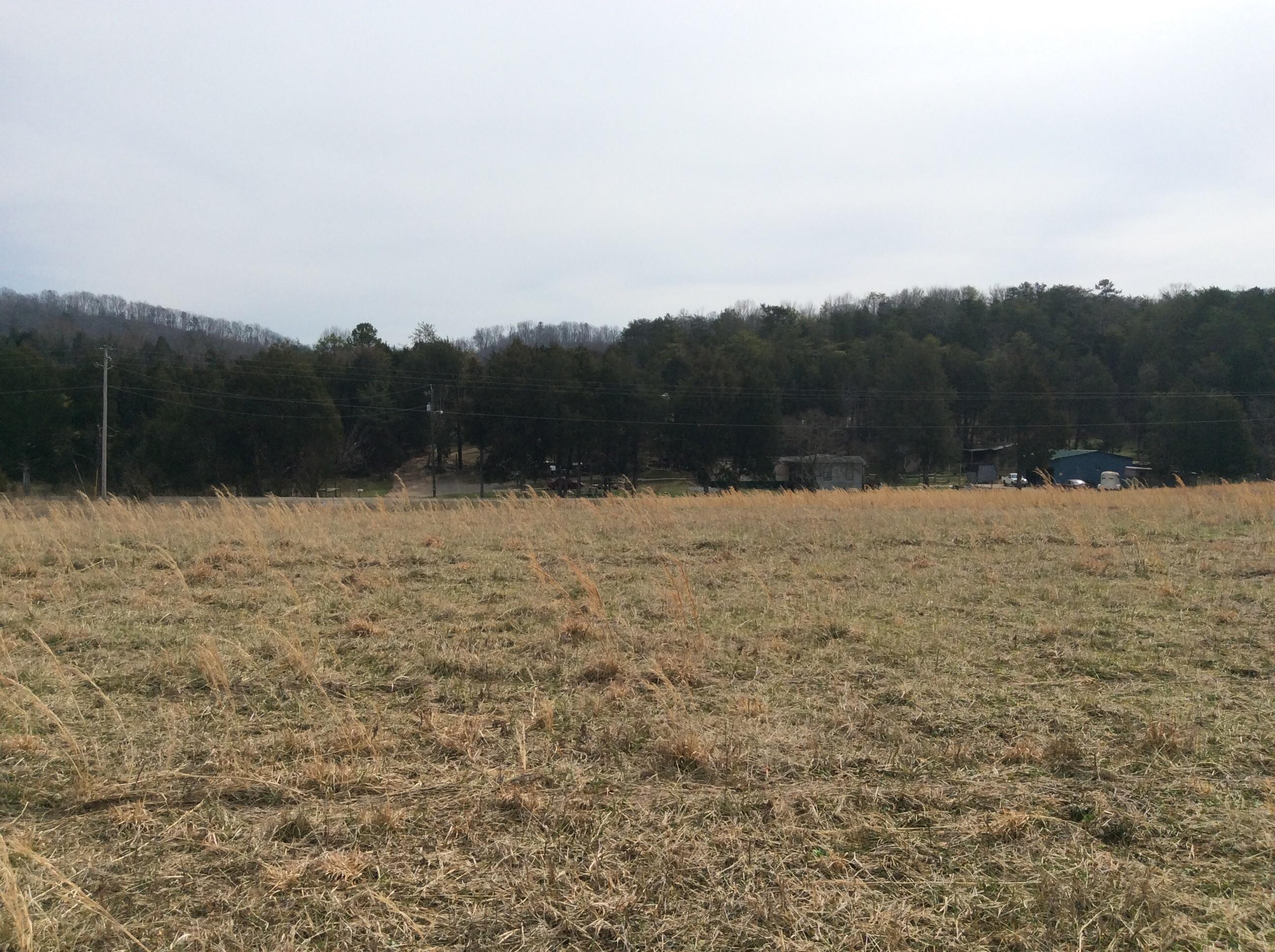 Lot 3 Hickory Valley Road Maynardville, TN 37807 - Photo 6 of 12 image
