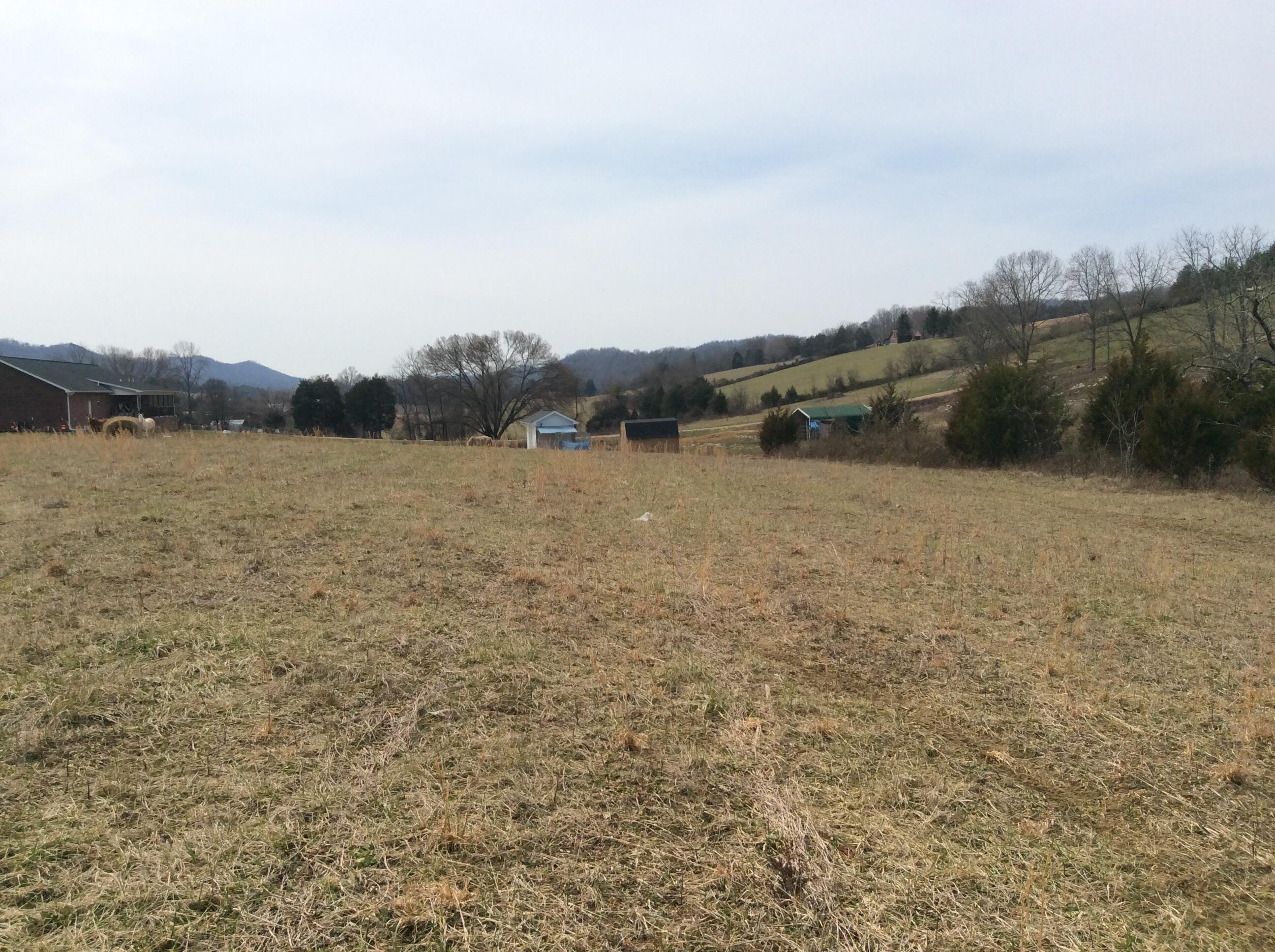 Lot 3 Hickory Valley Road Maynardville, TN 37807 - Photo 9 of 12 image