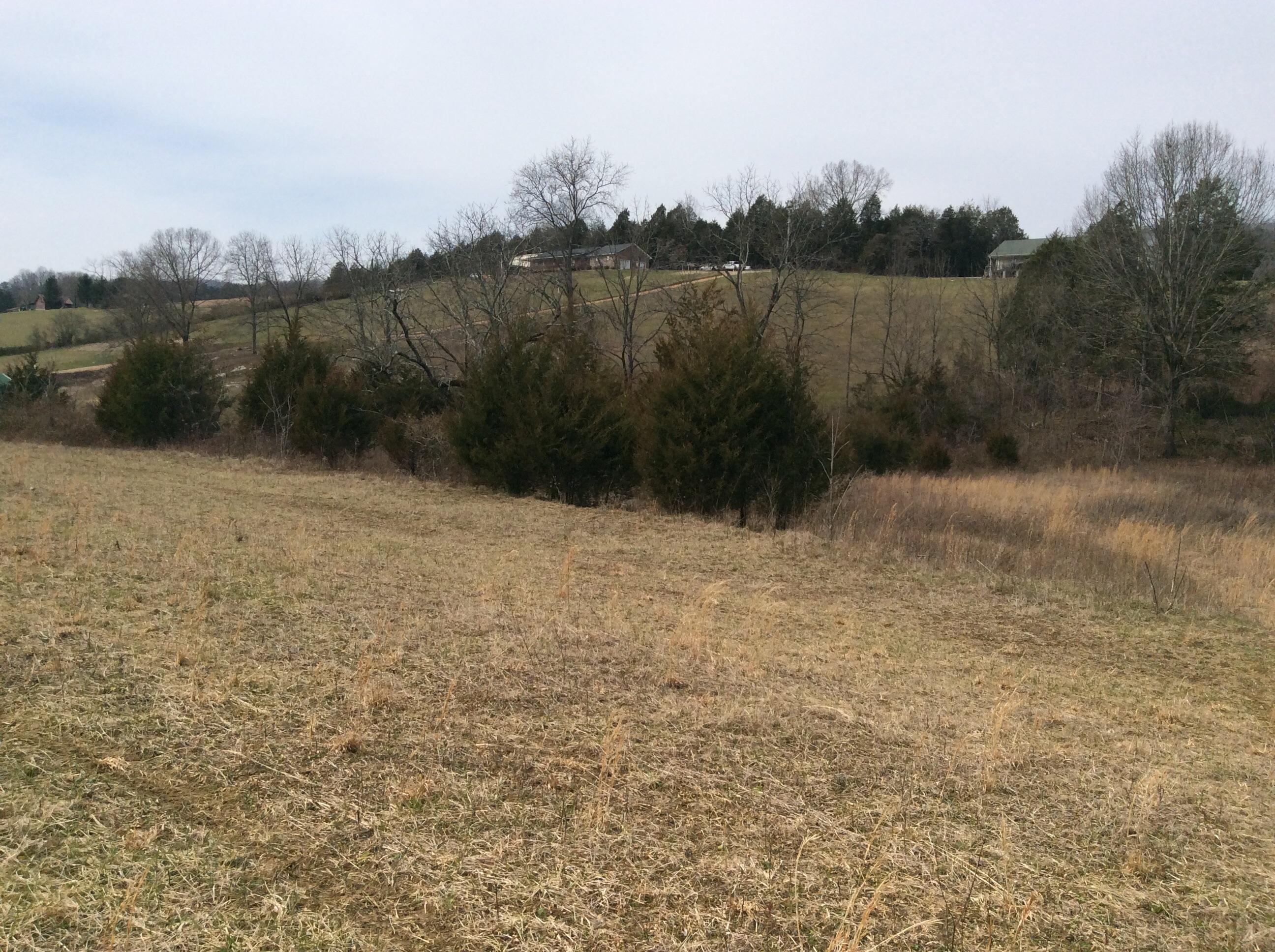 Lot 3 Hickory Valley Road Maynardville, TN 37807 - Photo 10 of 12 image