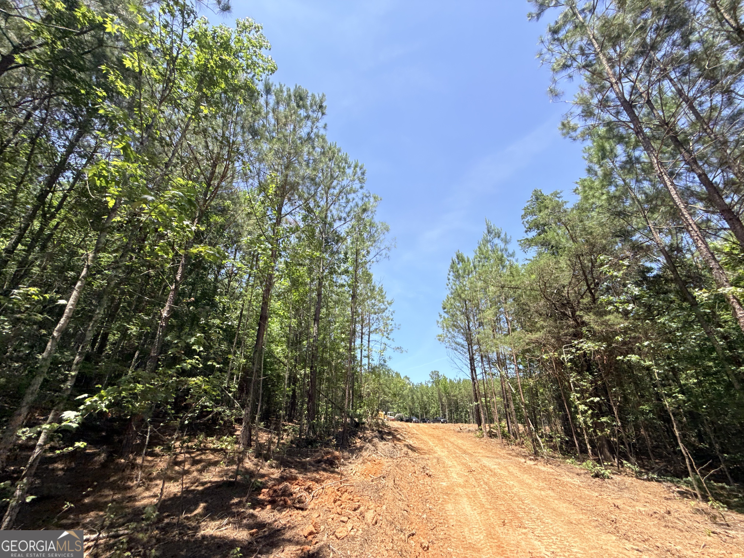 2787 Cedar Creek Road Elberton, GA 30635 - Photo 32 of 88