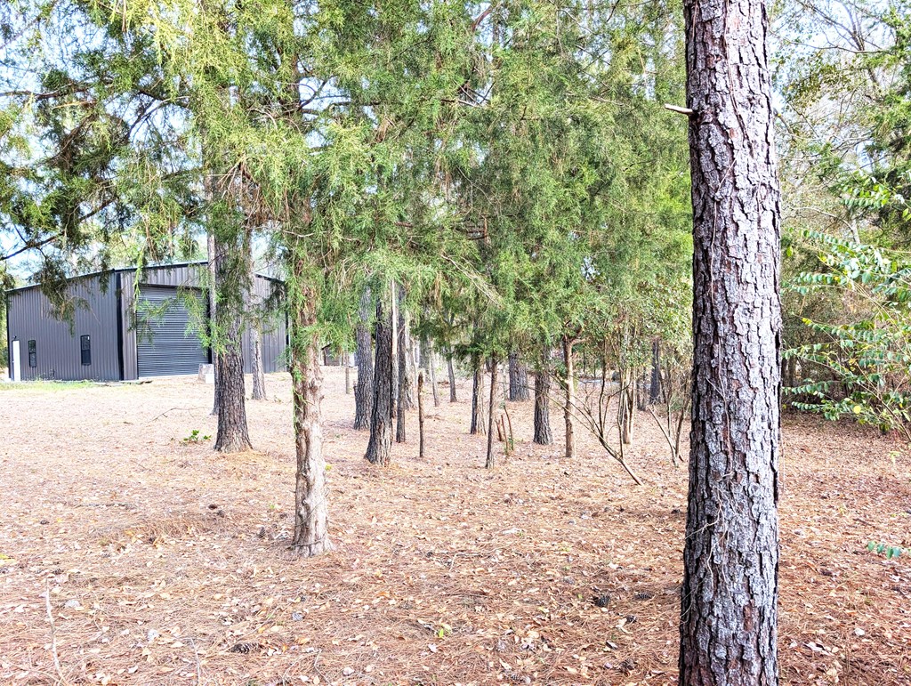 100 Womack Road Ashford, AL 36312 - Photo 4 of 12