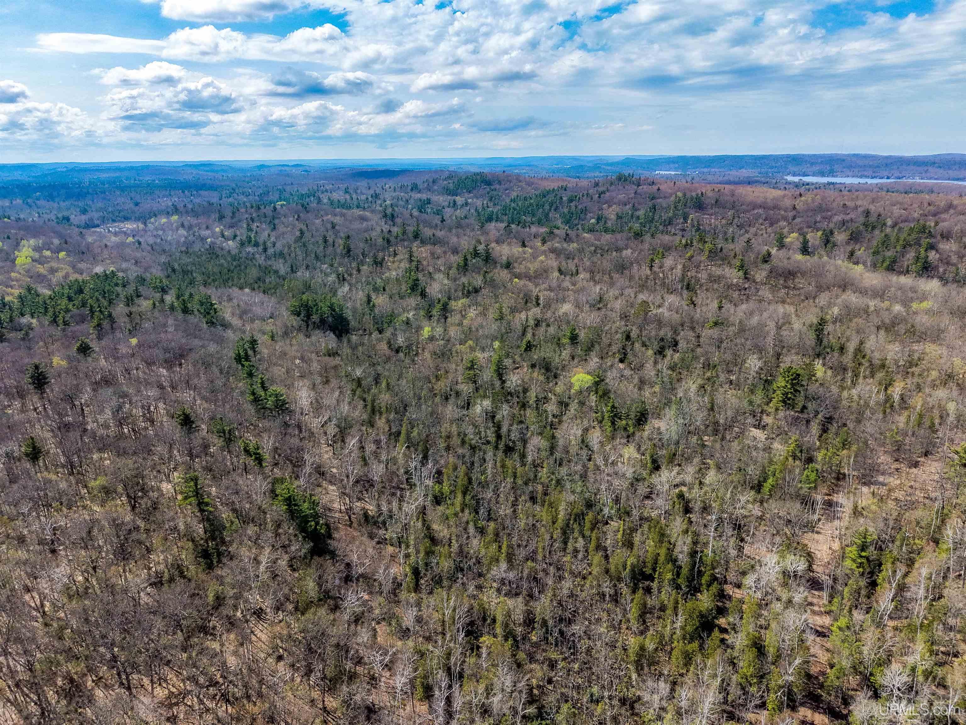 Tbd East Wilderness Road Negaunee, MI 49866 - Photo 2 of 12