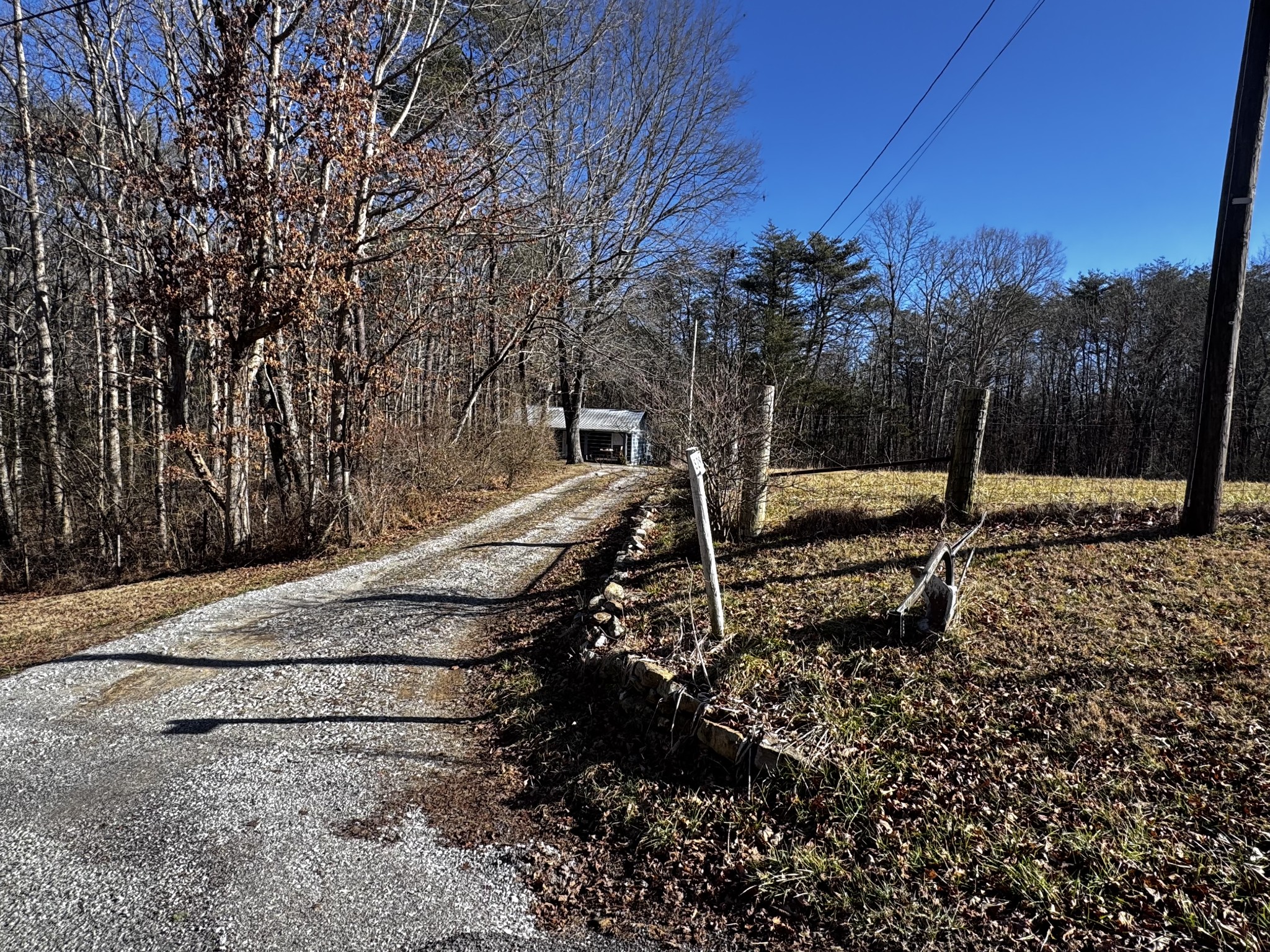 829 Highway 399 Palmer, TN 37365 - Photo 4 of 18 a view of outdoor space with trees