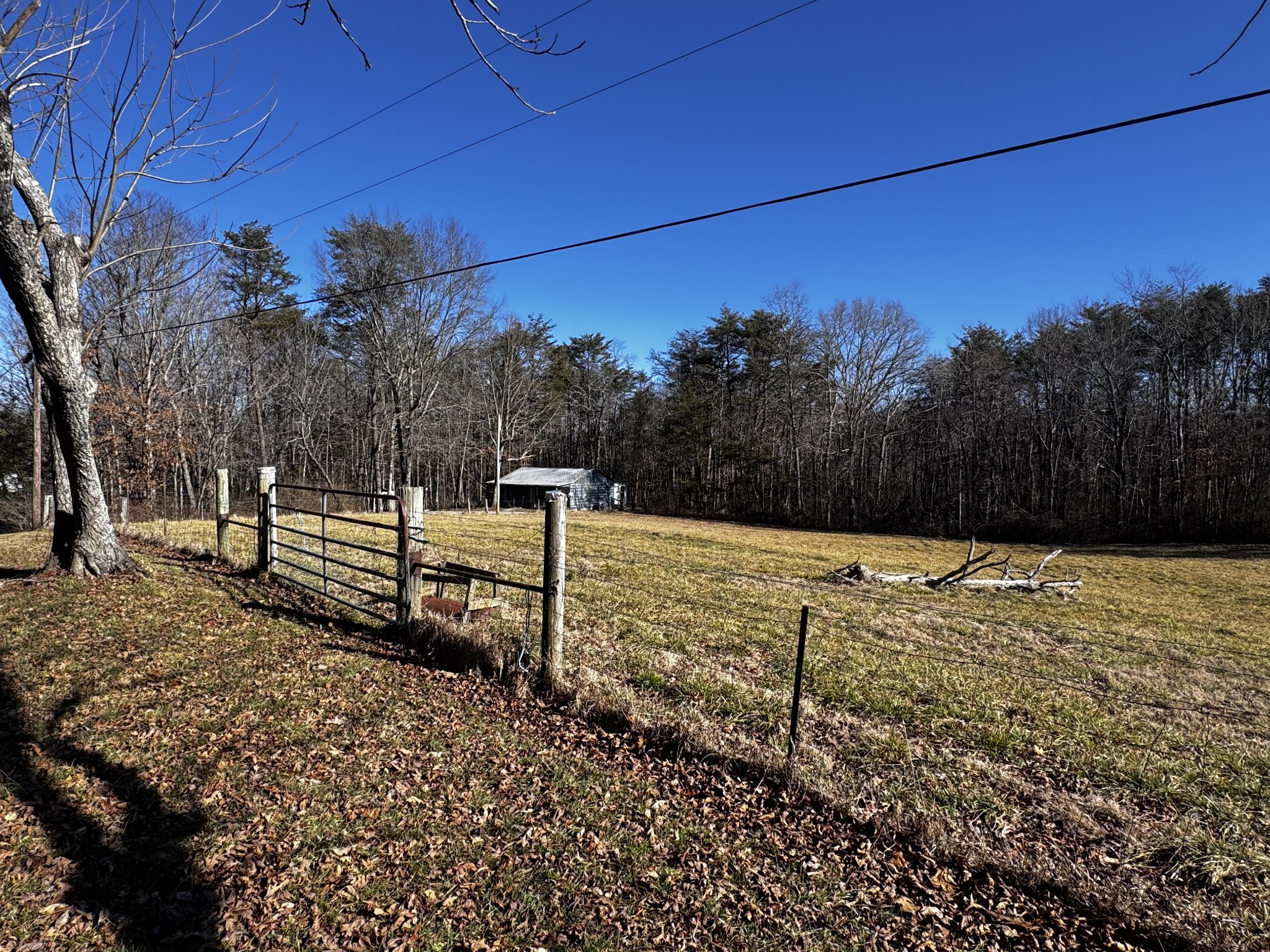 829 Highway 399 Palmer, TN 37365 - Photo 5 of 18 a view of a backyard of the house