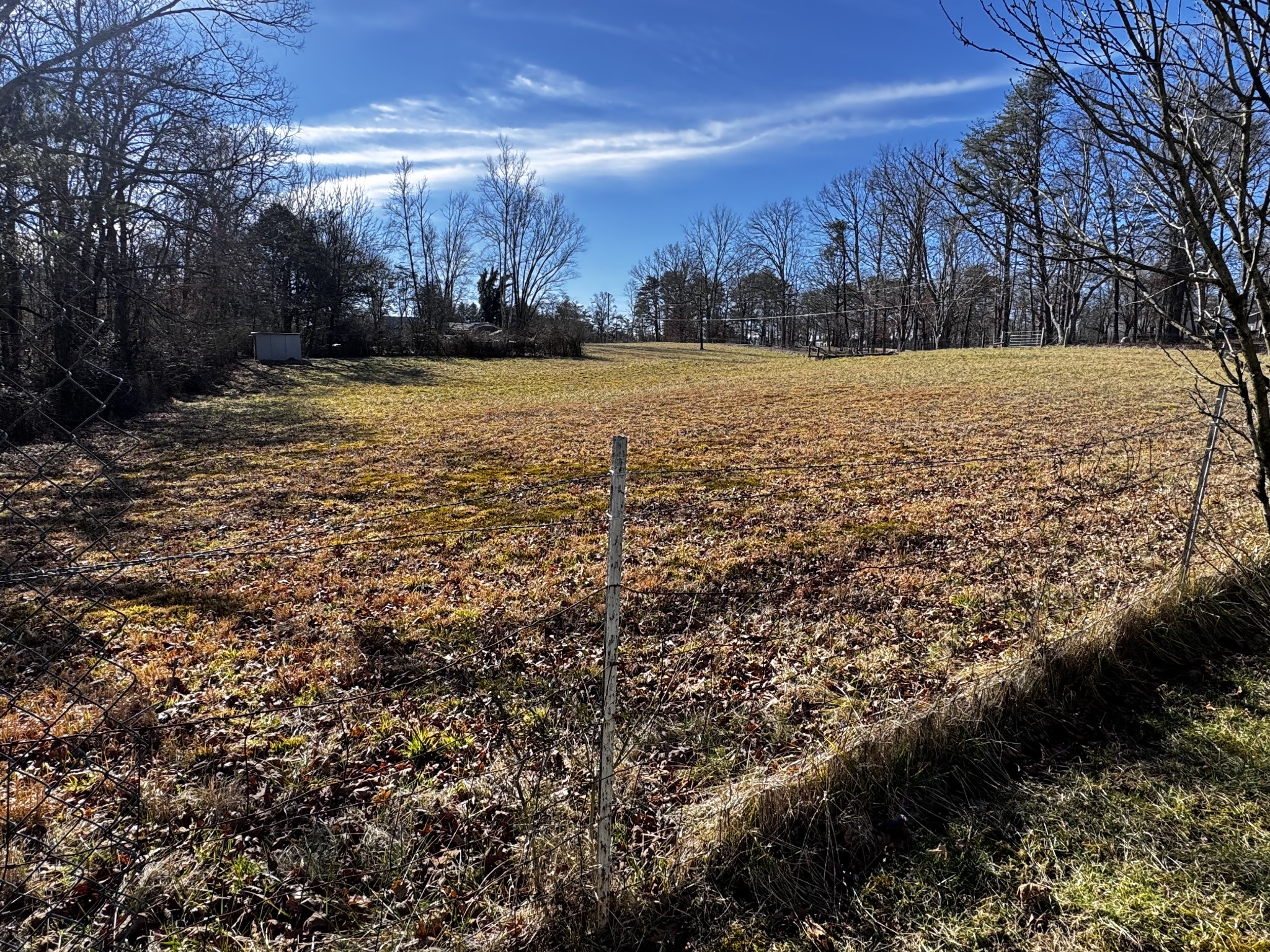 829 Highway 399 Palmer, TN 37365 - Photo 8 of 18 a view of outdoor space with trees