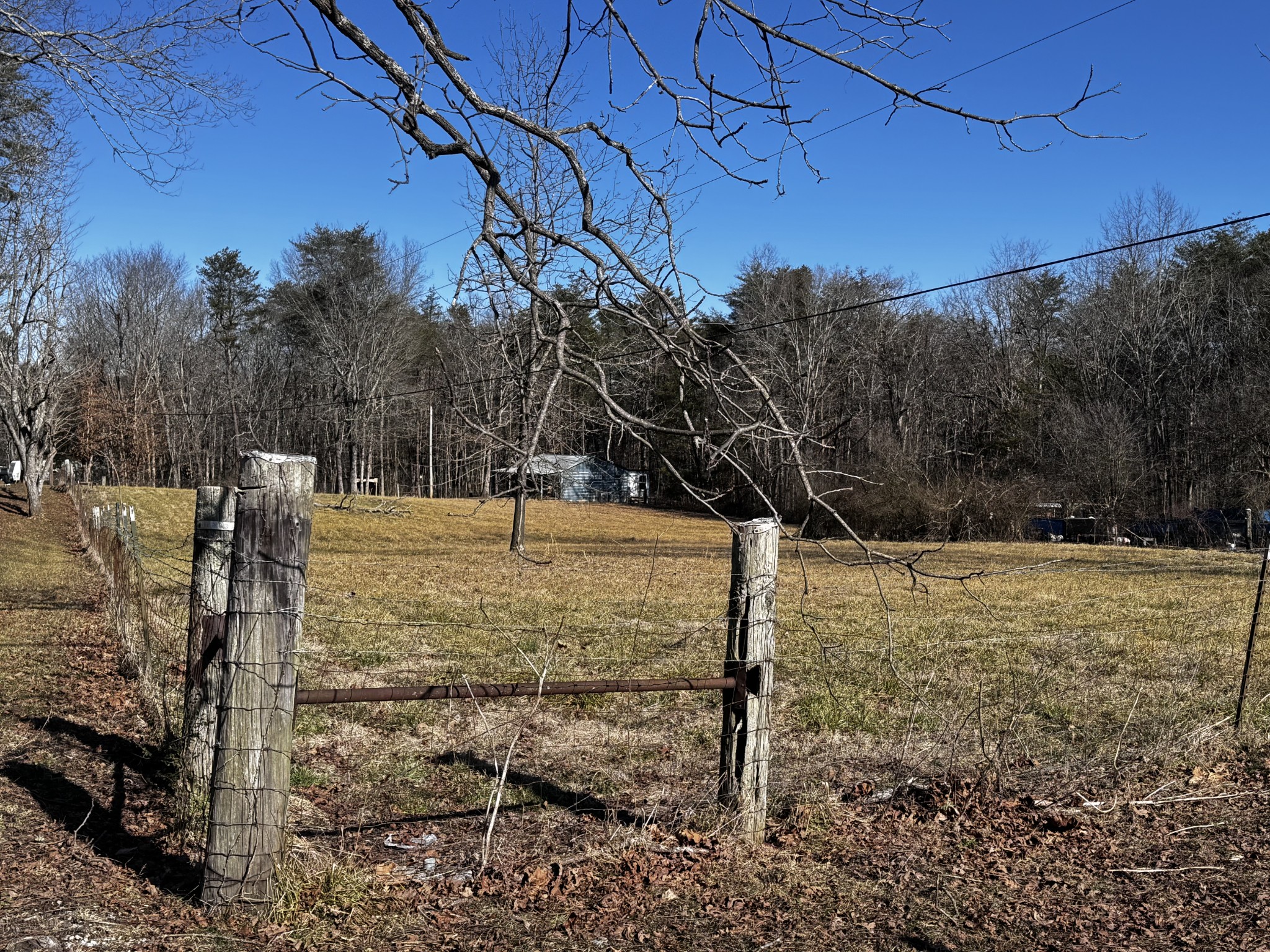 829 Highway 399 Palmer, TN 37365 - Photo 9 of 18 a view of yard with tree