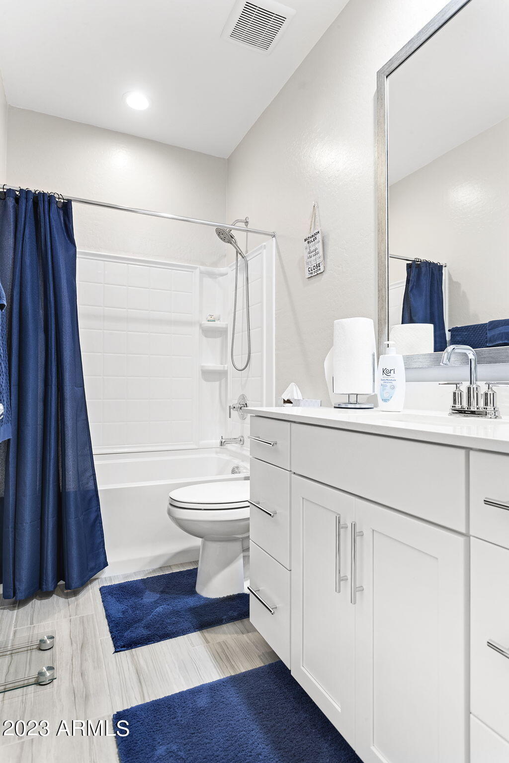 12356 East Soloman Road Gold Canyon, AZ 85118 - Photo 33 of 53 a bathroom with a sink a toilet a mirror and vanity