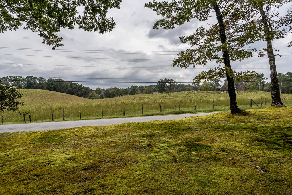 1994 Douthit Road Mineral Bluff, GA 30559 - Photo 59 of 66 Pasture View