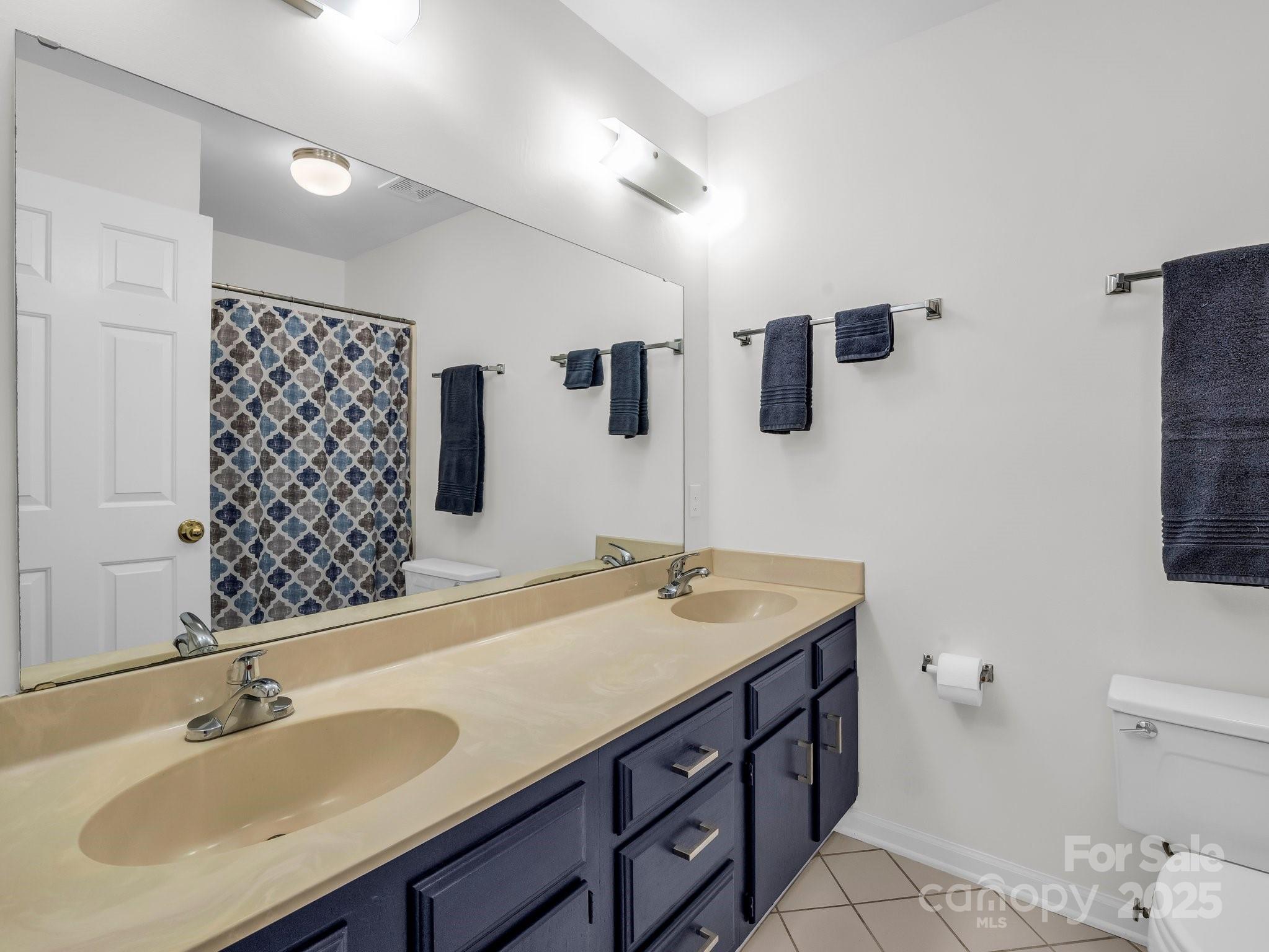 8 Hunting Country Trail Tryon, NC 28782 - Photo 23 of 37 a bathroom with a sink and a mirror