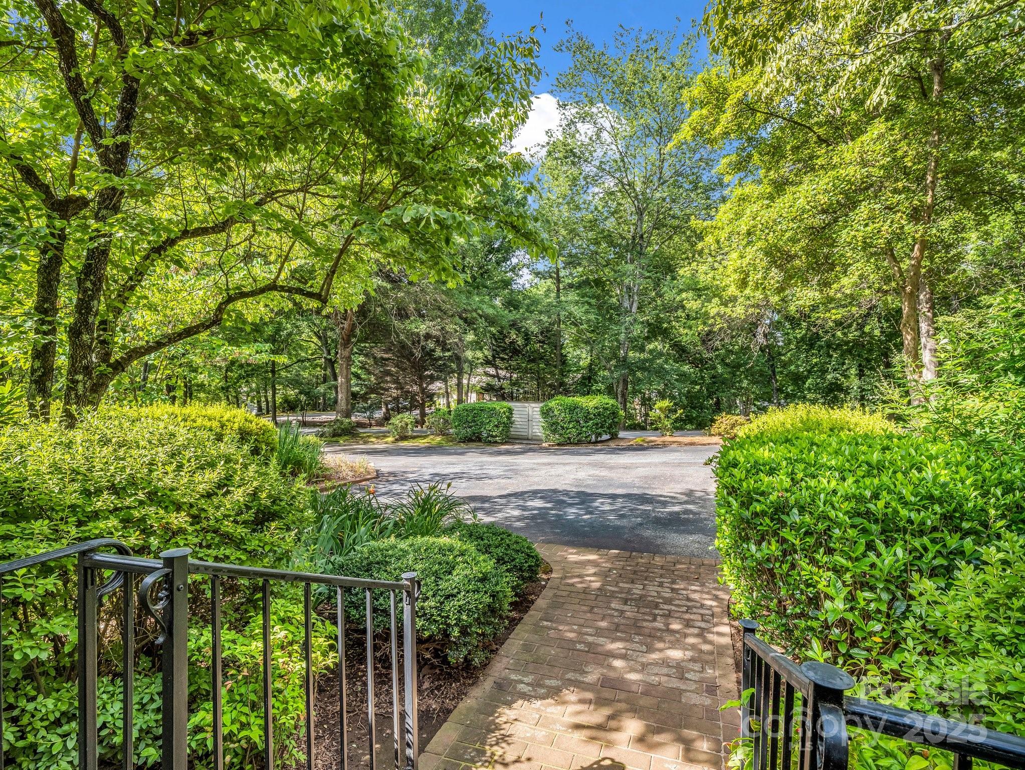 8 Hunting Country Trail Tryon, NC 28782 - Photo 3 of 37 a view of a yard with plants and large trees