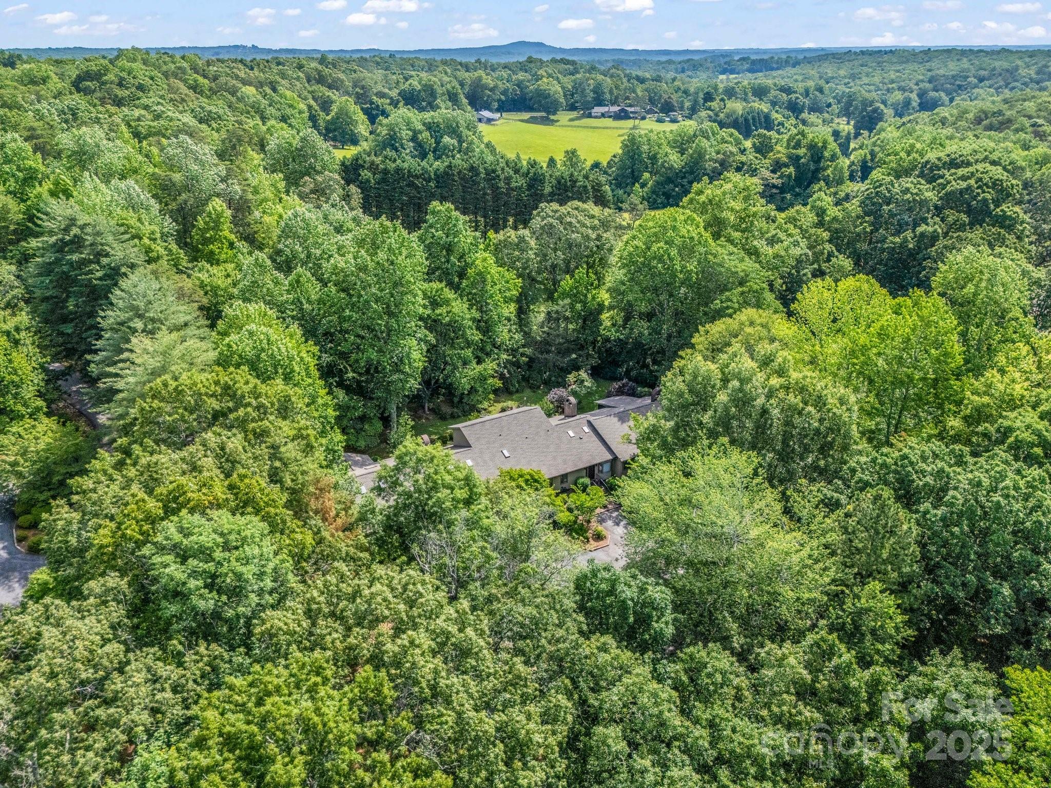 8 Hunting Country Trail Tryon, NC 28782 - Photo 37 of 37 an aerial view of residential house with outdoor space and trees all around