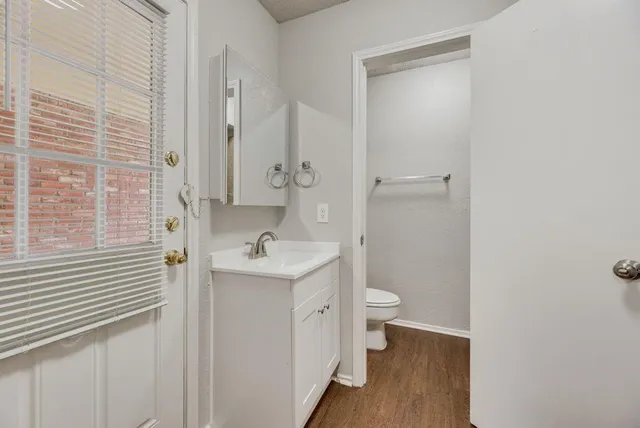 a bathroom with a sink a toilet and a mirror