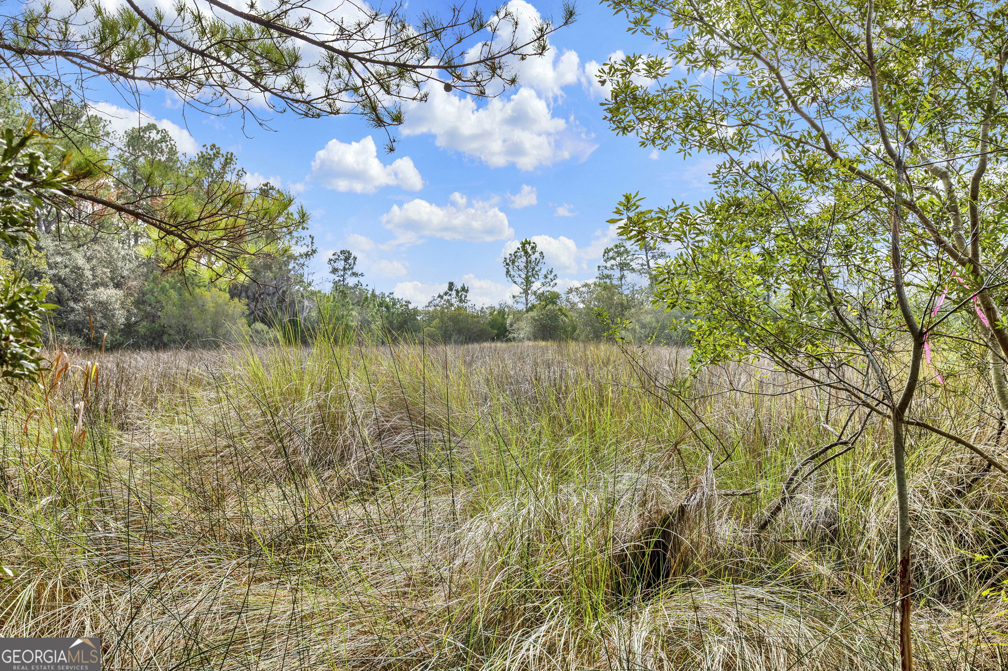 a view of lake with green space