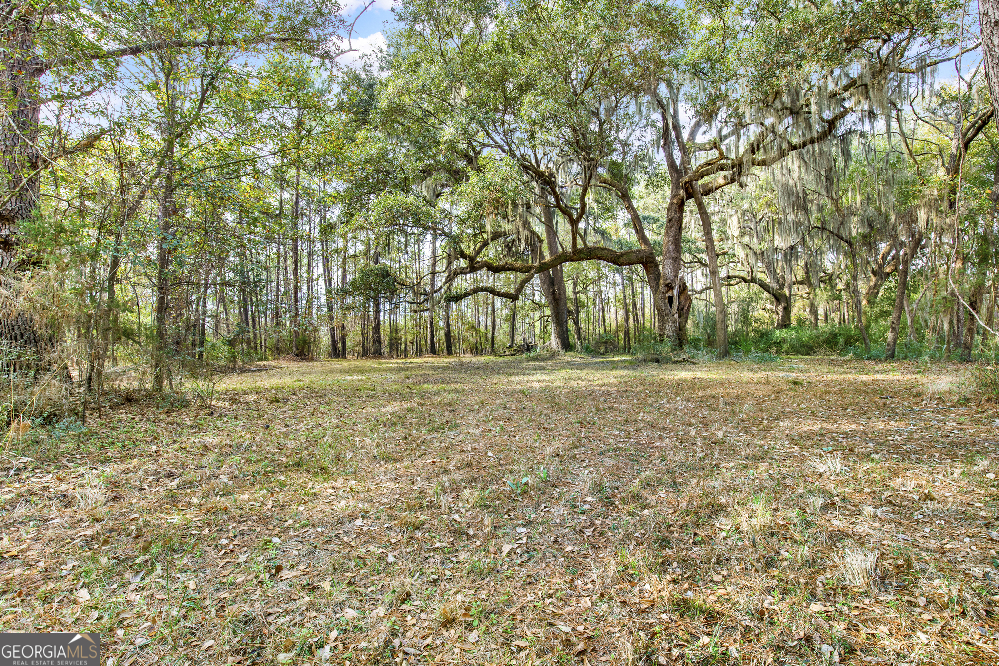 199 Burton Road Savannah, GA 31405 - Photo 14 of 30 a view of backyard space