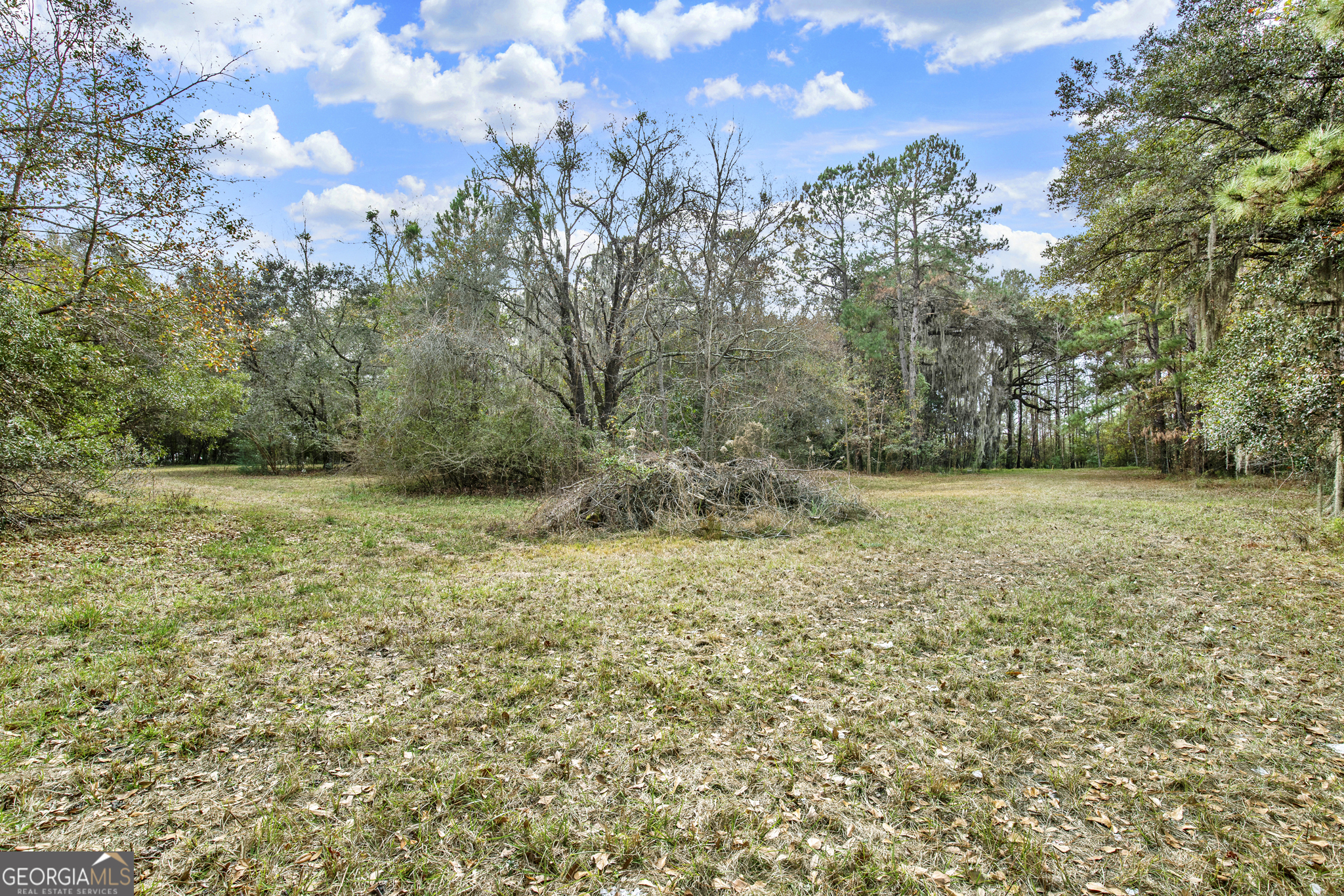 199 Burton Road Savannah, GA 31405 - Photo 23 of 30 a view of a field with an trees
