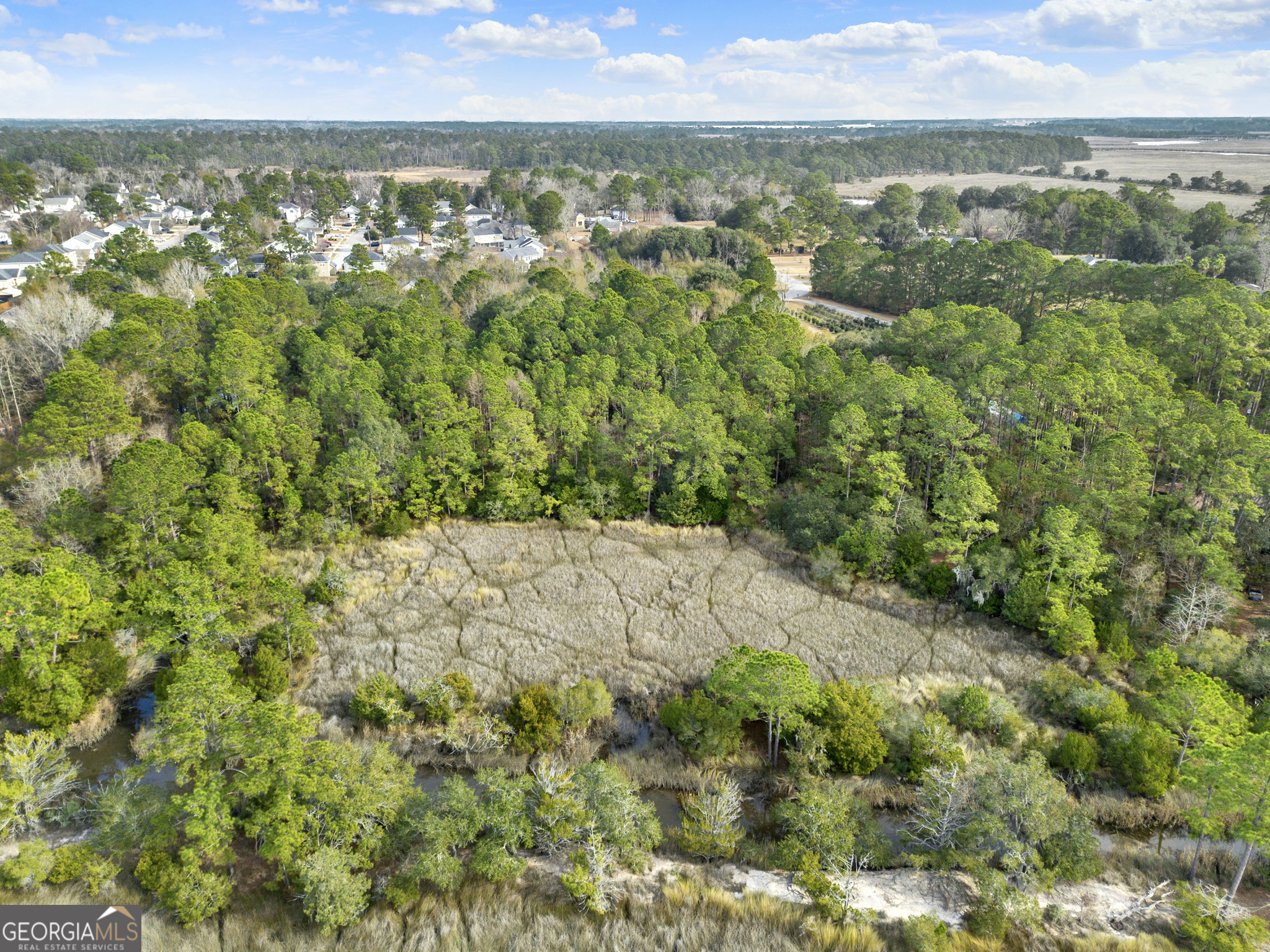 199 Burton Road Savannah, GA 31405 - Photo 26 of 30 a view of a city with lush green forest