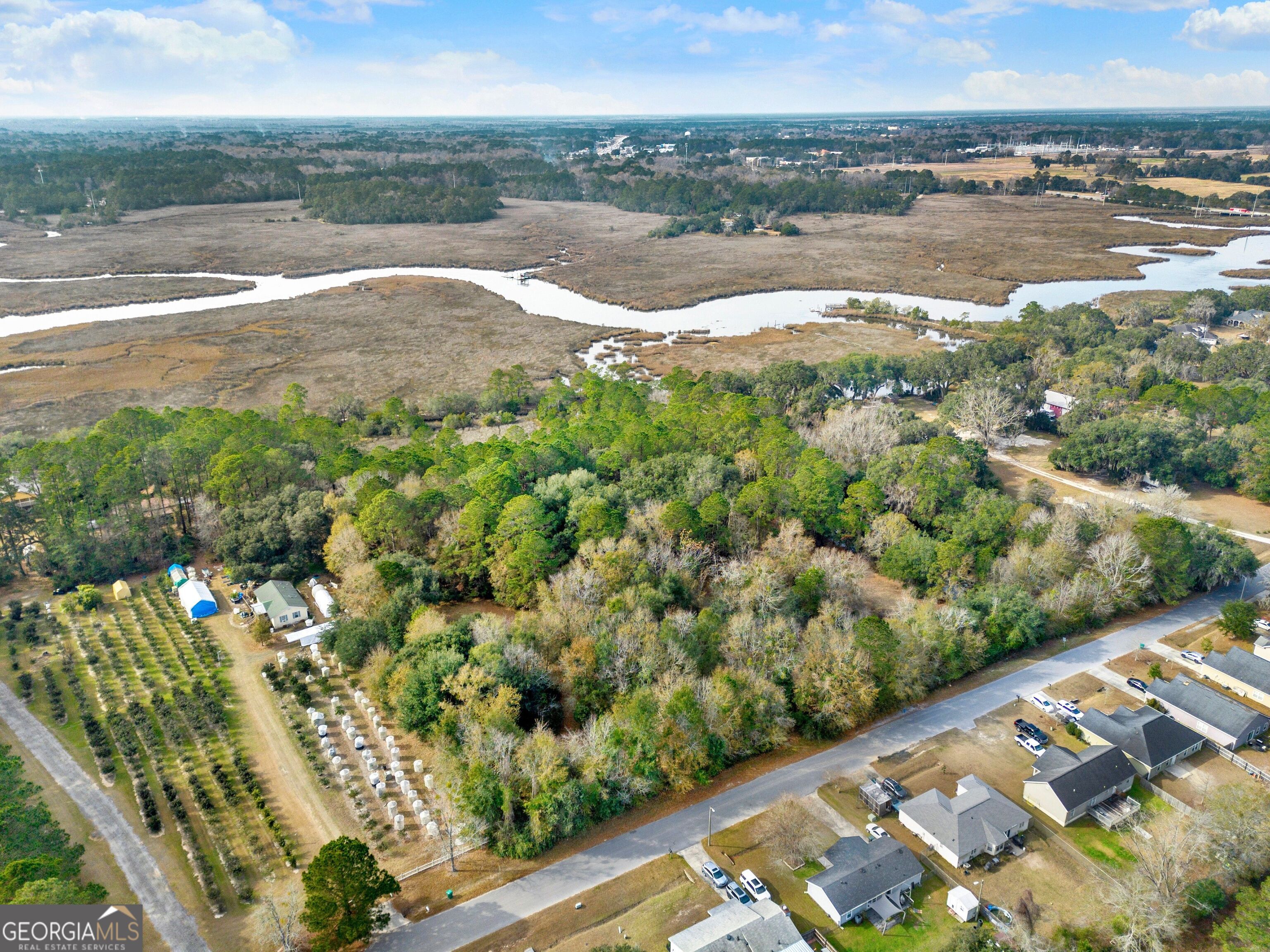 199 Burton Road Savannah, GA 31405 - Photo 29 of 30 a view of a lake with a city