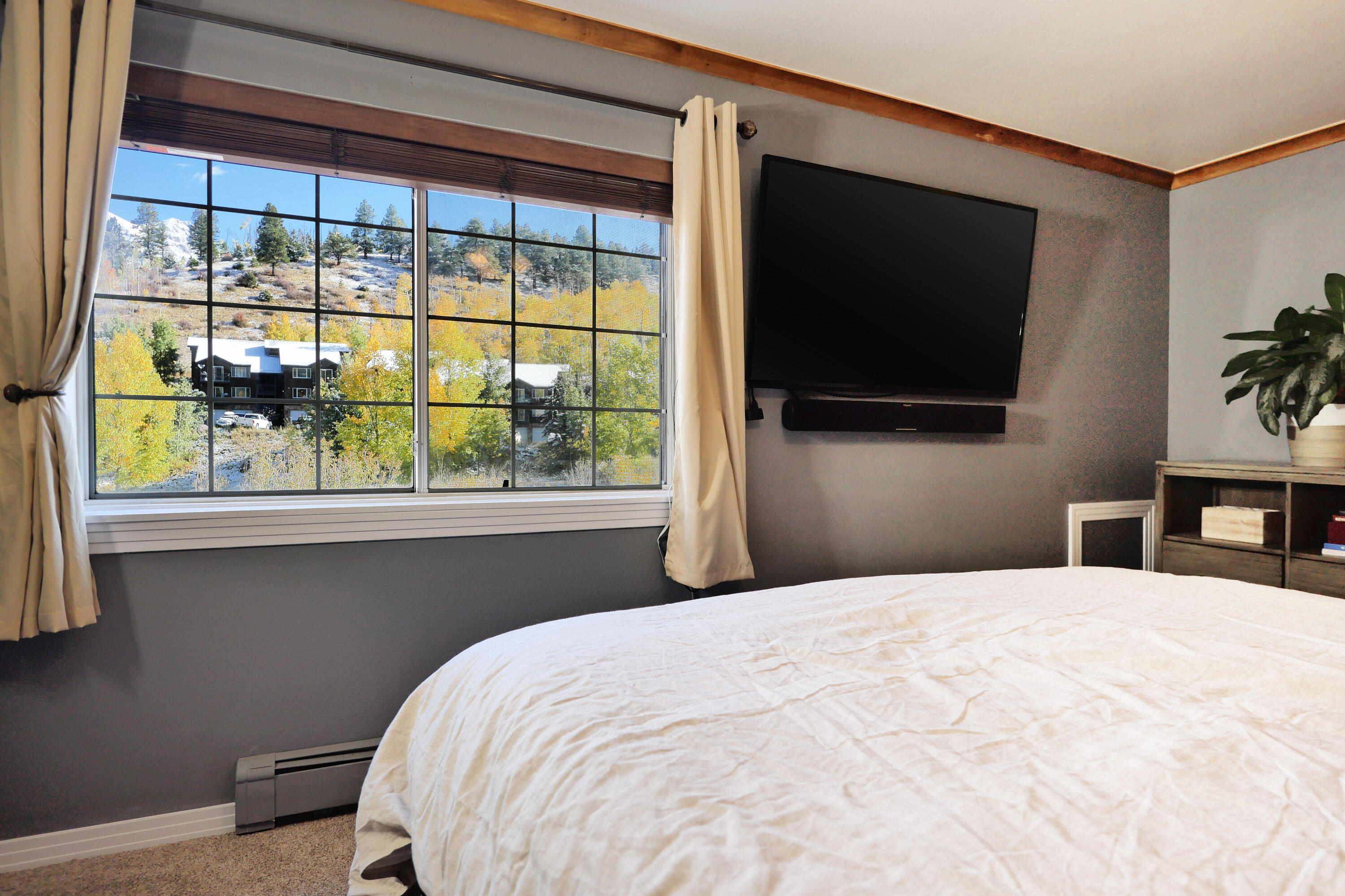 302 Adams Ranch Road, Unit 6 Mountain Village, CO 81435 - Photo 24 of 45 a bedroom with a bed and a flat screen tv
