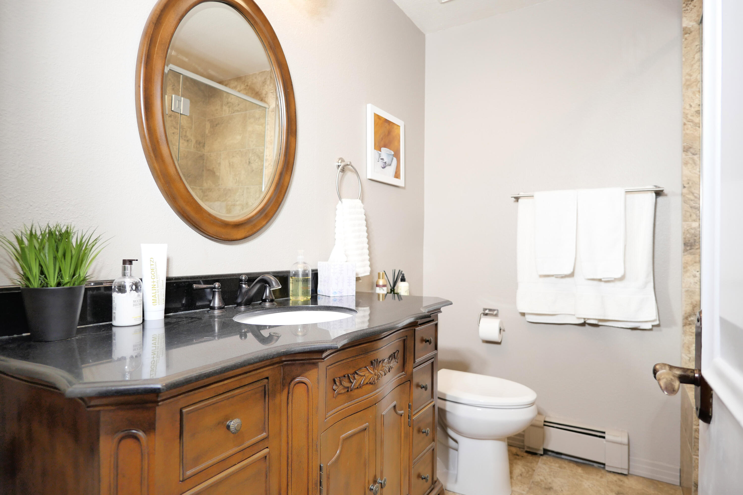 302 Adams Ranch Road, Unit 6 Mountain Village, CO 81435 - Photo 29 of 45 a bathroom with a granite countertop toilet a sink and a mirror