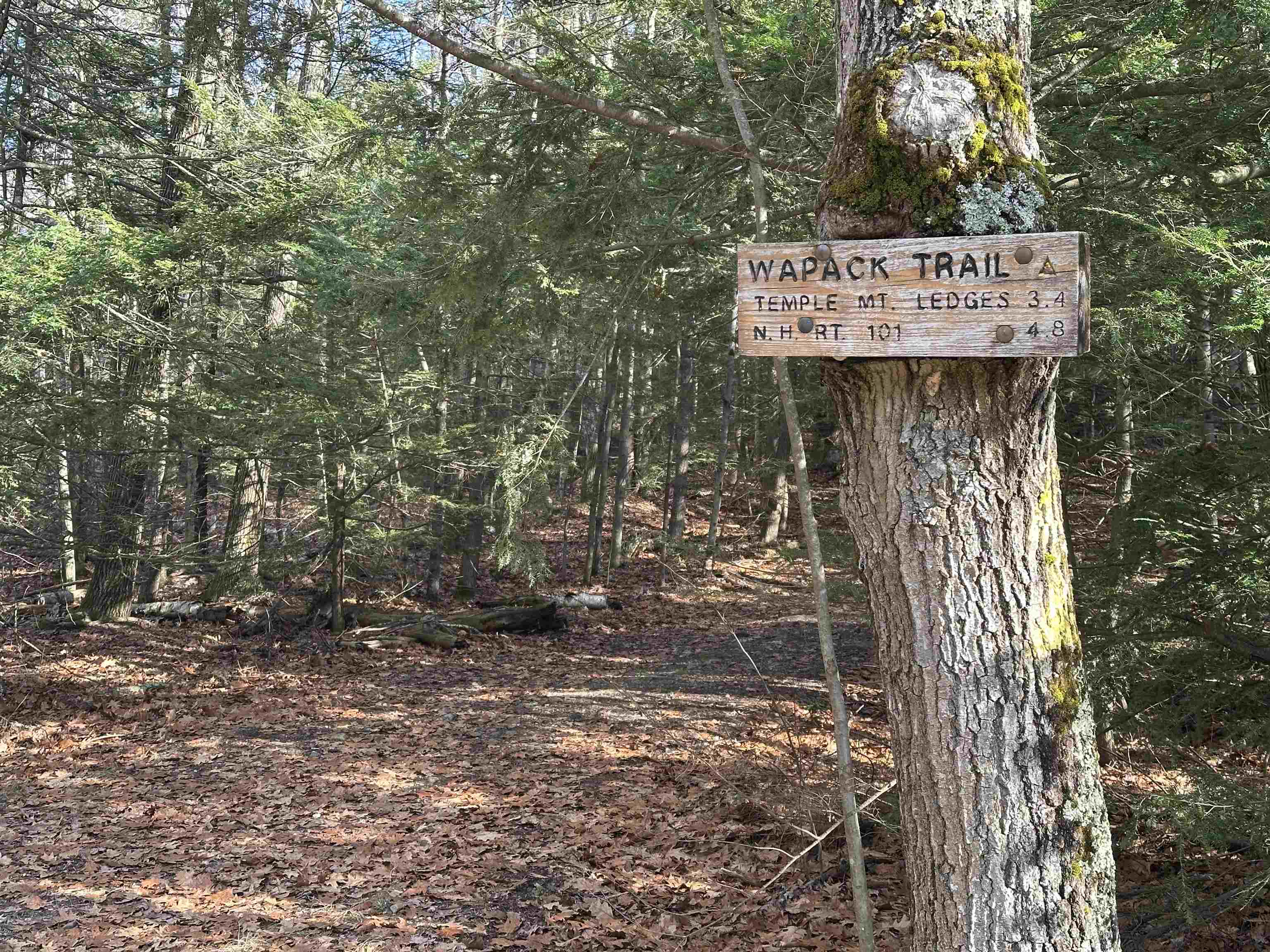 103 Temple Road Sharon, NH 03458 - Photo 38 of 38