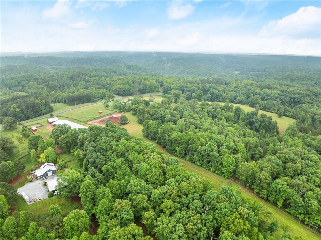 7215 Kelly Bridge Road Dawsonville, GA 30534 - Photo 79 of 83