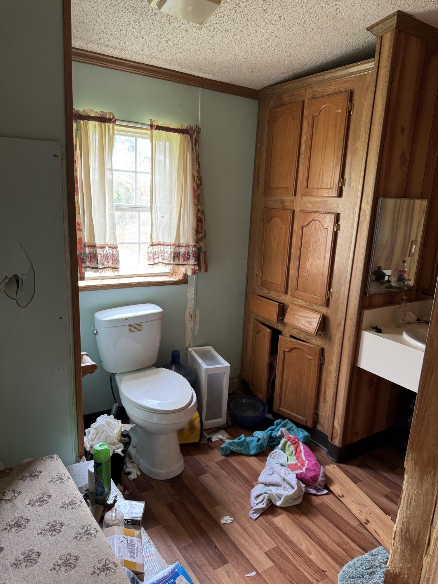 6828 Shuman Road Sunfield, MI 48890 - Photo 13 of 30 IMG_0952