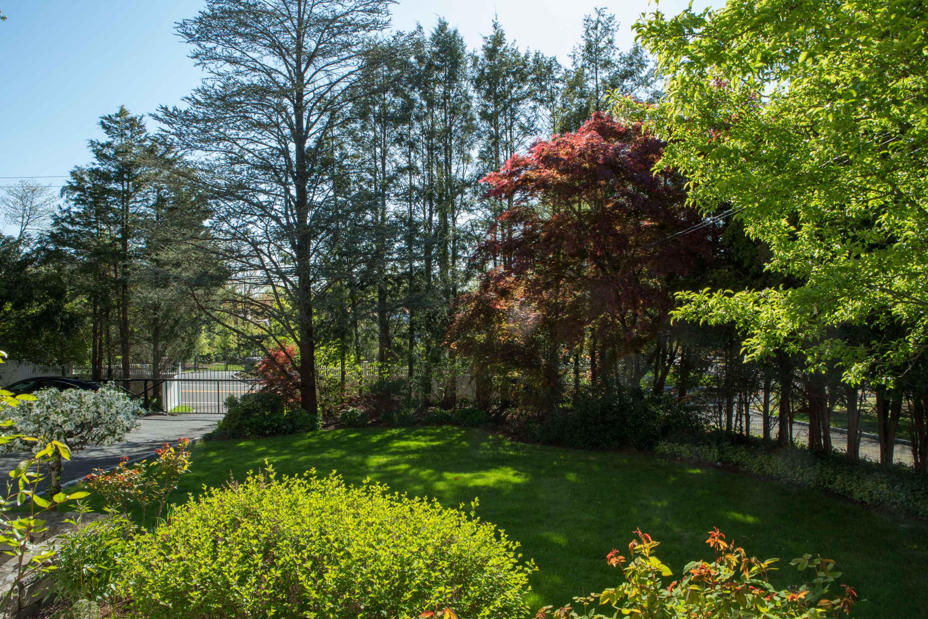 466 Mansfield Avenue Darien, CT 06820 - Photo 4 of 46 a view of a park with large trees