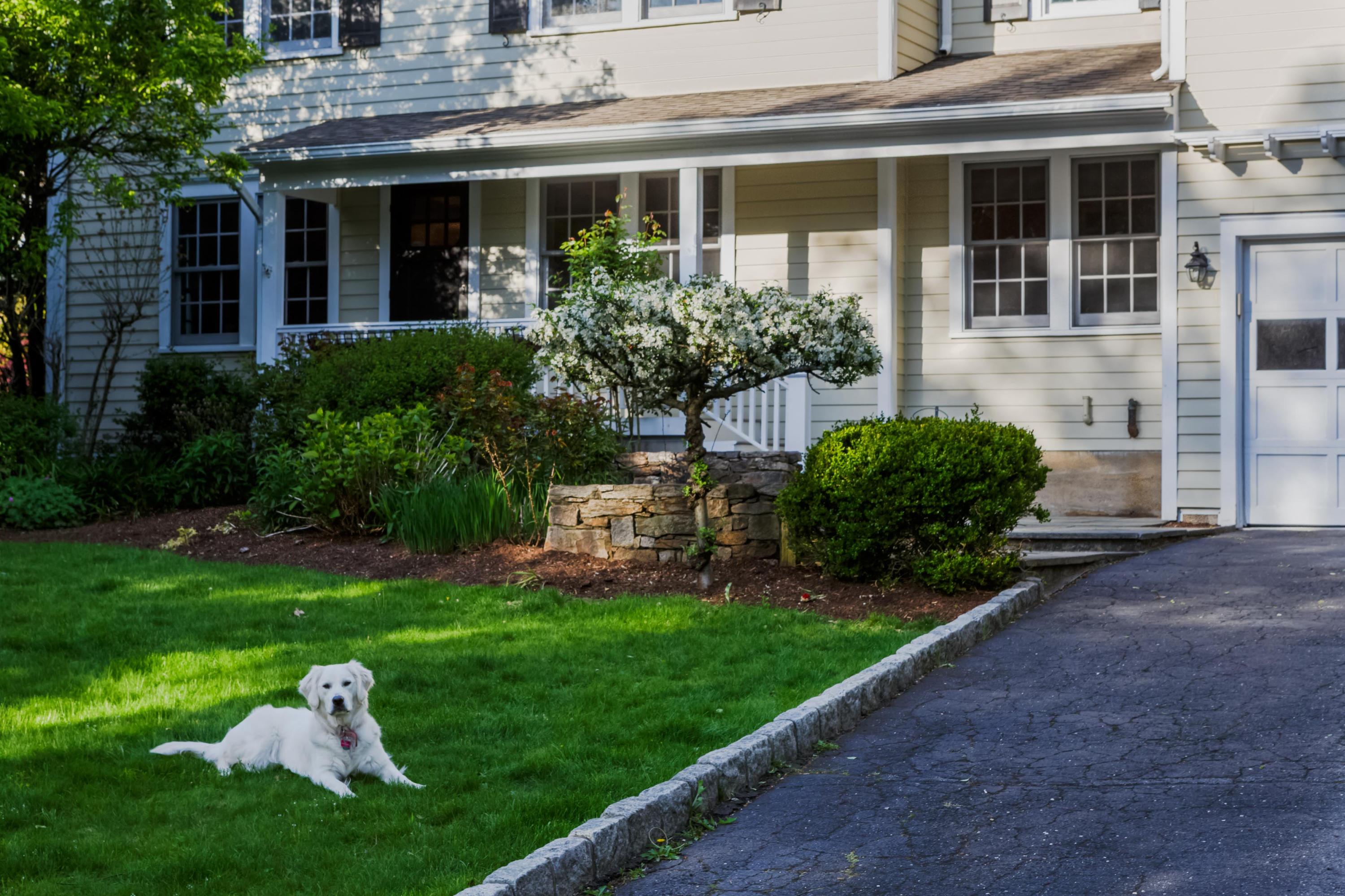 466 Mansfield Avenue Darien, CT 06820 - Photo 43 of 46 a front view of a house with a yard and potted plants