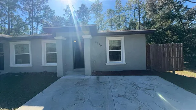 a view of backyard with small cabin