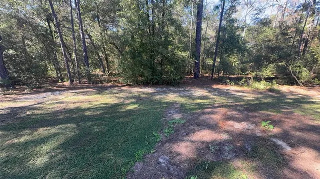 a view of a tree with a yard