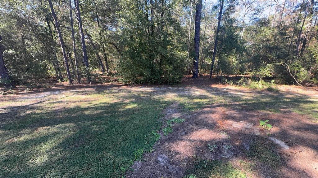 8950 North Mendoza Way Citrus Springs, FL 34434 - Photo 33 of 35 a view of a tree with a yard