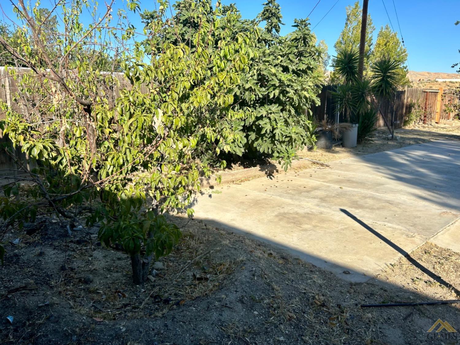 Undisclosed Address Maricopa, CA 93252 - Photo 8 of 32 a view of a yard with plants and trees