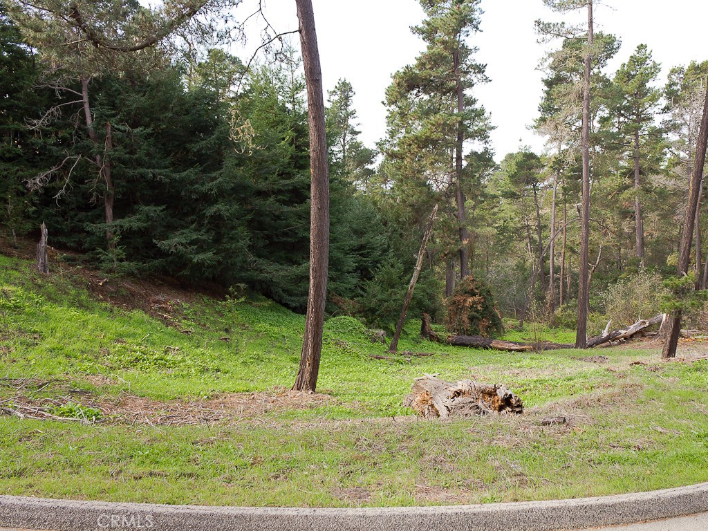 0 Burton Drive Cambria, CA 93428 - Photo 1 of 7 a view of a backyard