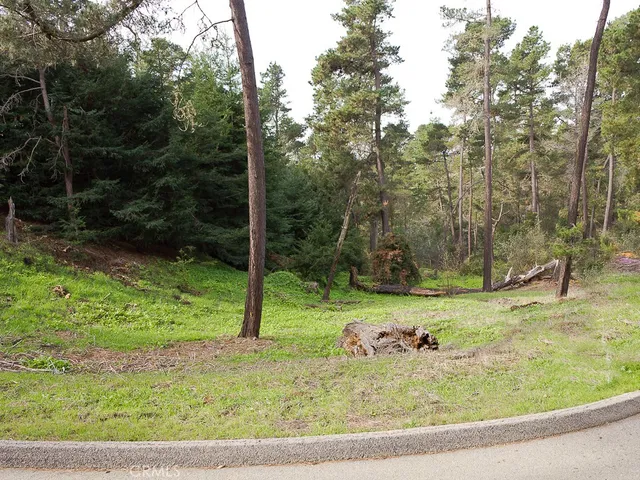 a view of a backyard with large trees