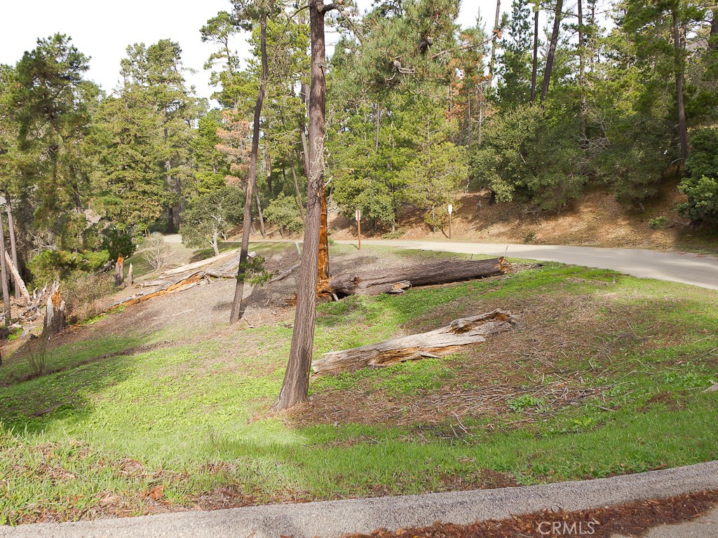 0 Burton Drive Cambria, CA 93428 - Photo 6 of 7 a view of yard
