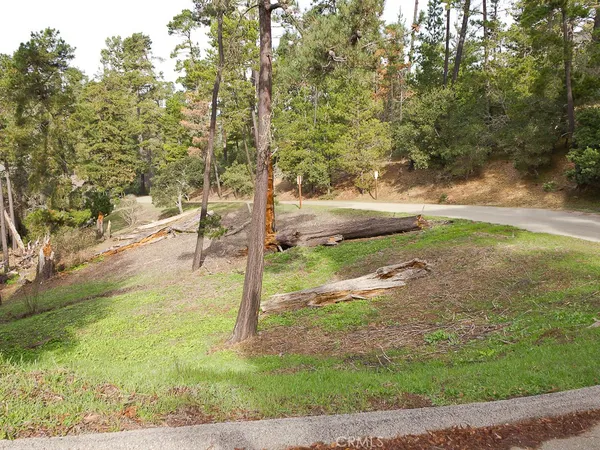 a view of yard