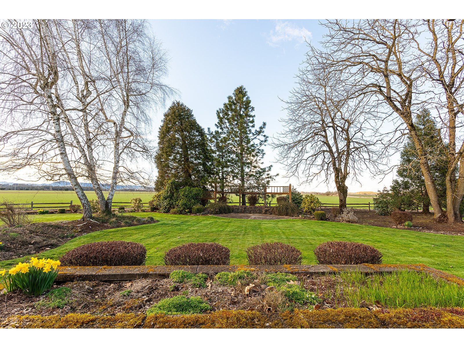 28179 High Pass Road Junction City, OR 97448 - Photo 38 of 48 a view of a park with large trees