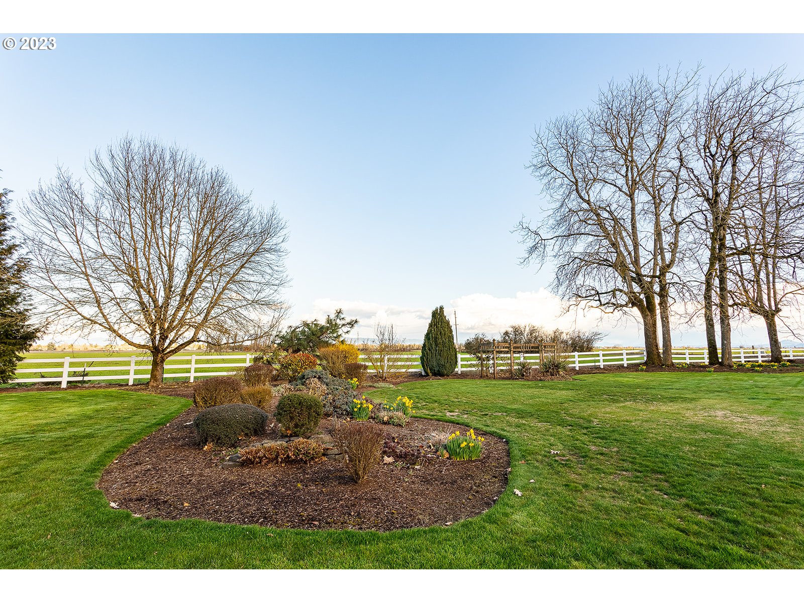 28179 High Pass Road Junction City, OR 97448 - Photo 42 of 48 a view of a backyard