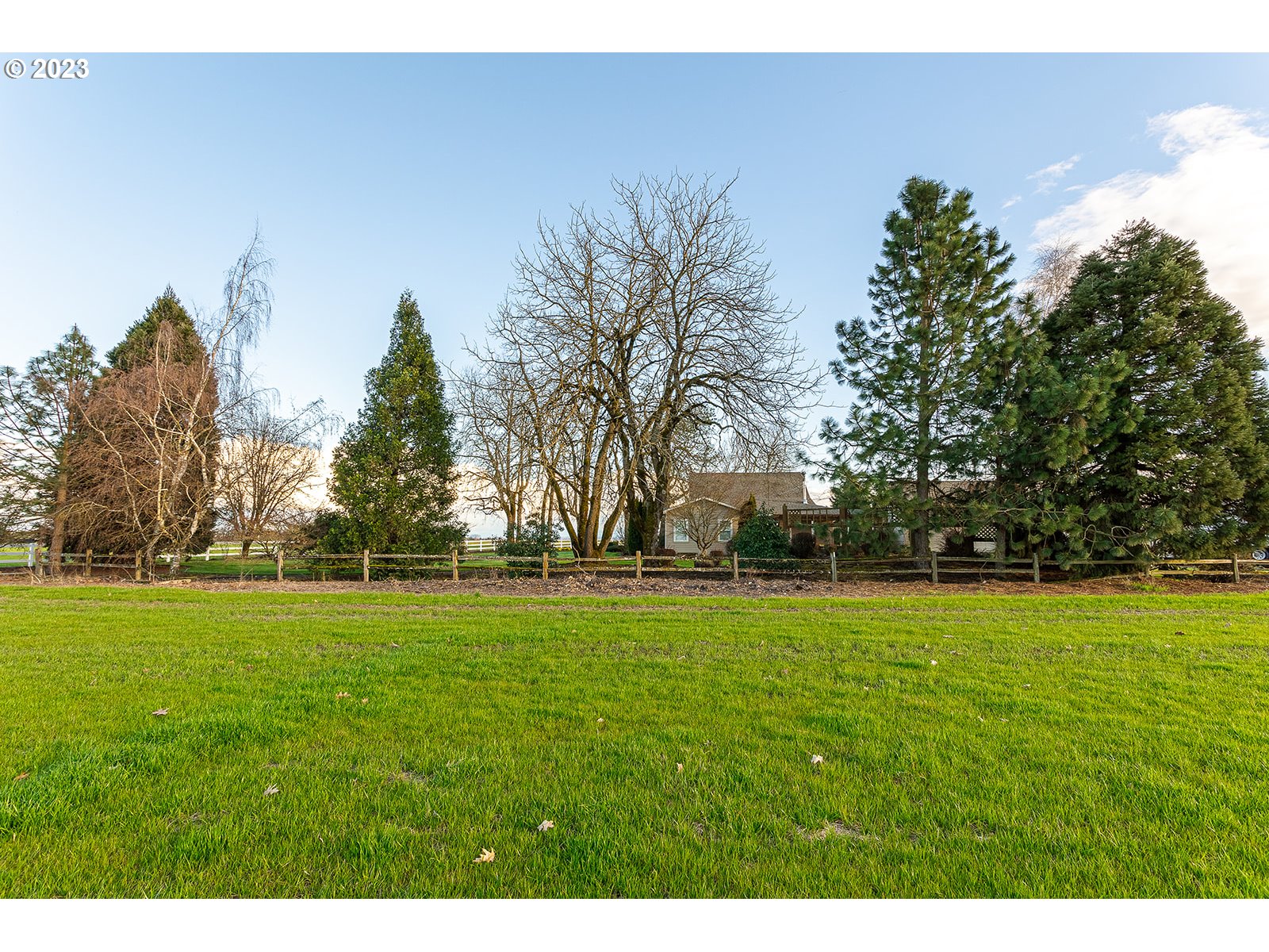 28179 High Pass Road Junction City, OR 97448 - Photo 44 of 48 a view of a green field with trees in the background