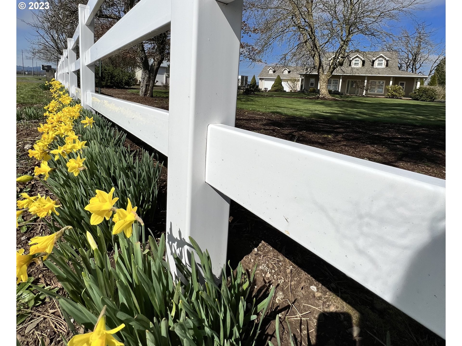 28179 High Pass Road Junction City, OR 97448 - Photo 48 of 48 a view of a yard with plants