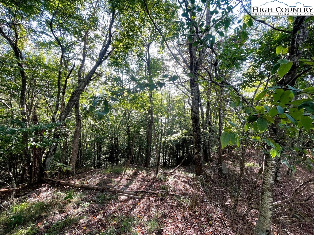 315 Pinnacle Ridge Road Beech Mountain, NC 28604 - Photo 2 of 6 a view of a forest with trees in the background